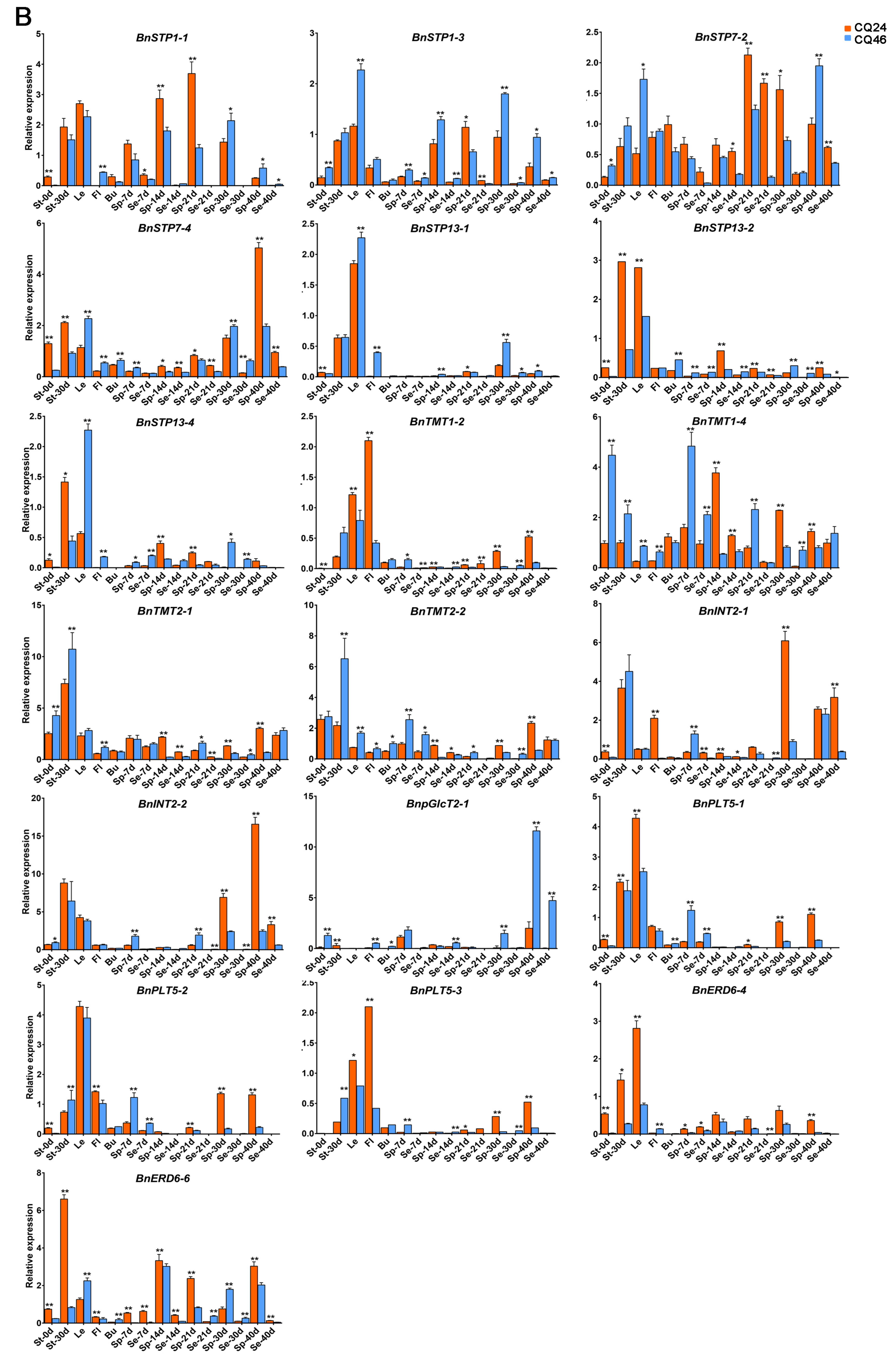 Genes 11 00653 g007b Genes 11 00653 g007b