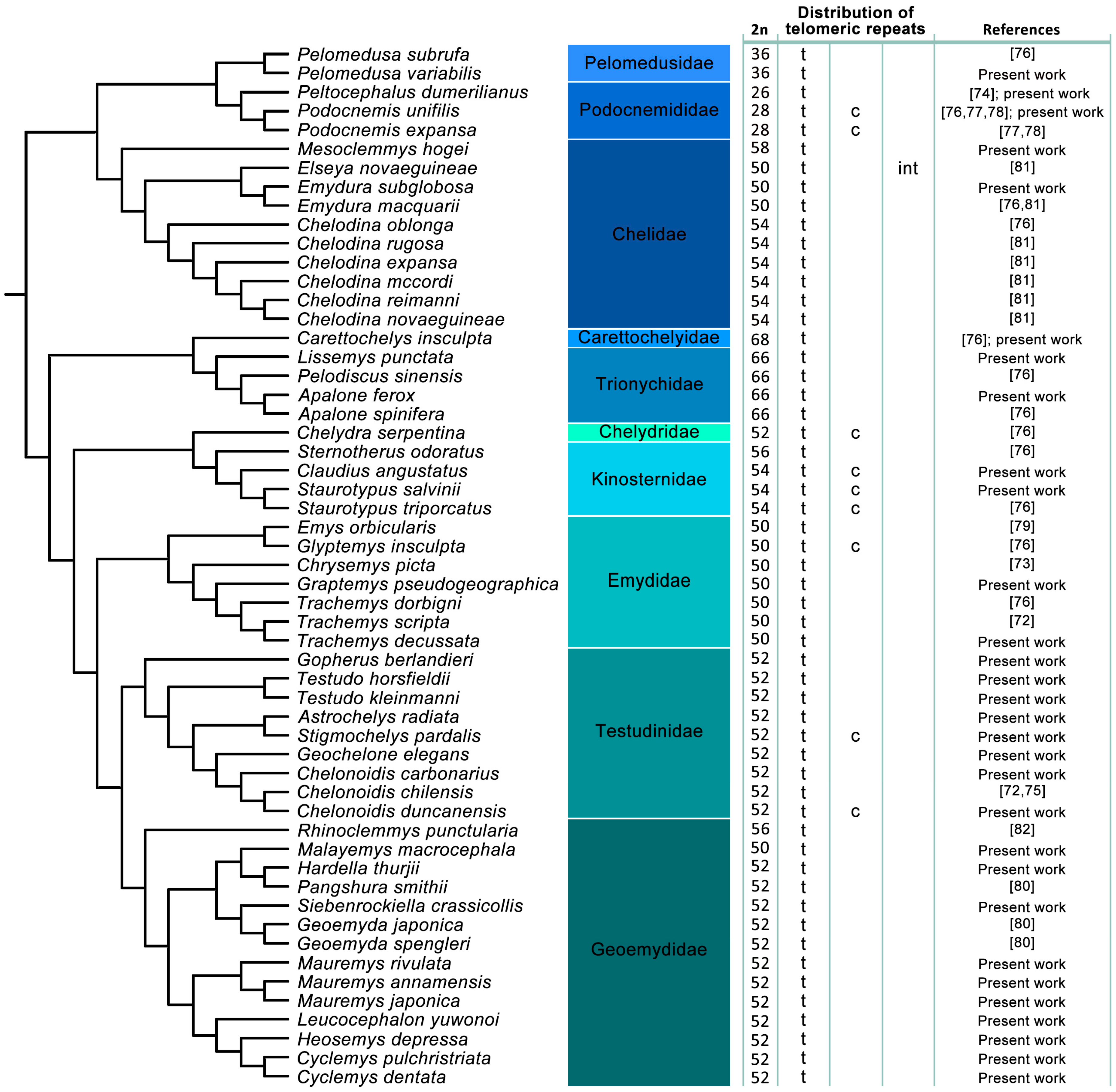 Genes, Free Full-Text