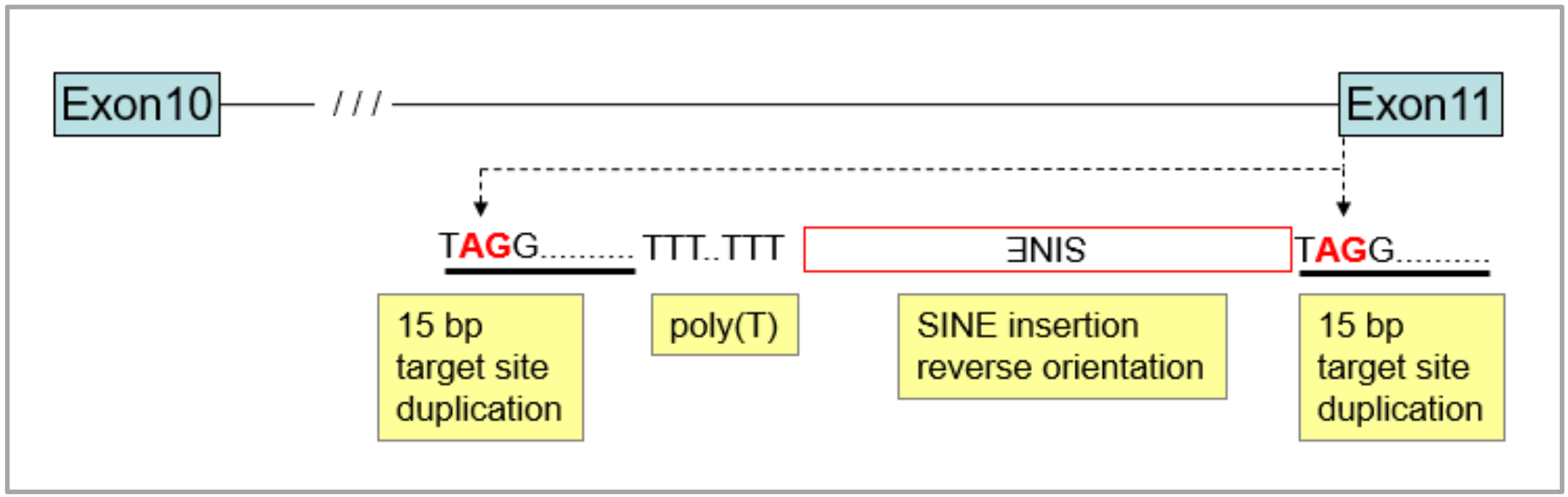 Genes 11 00660 g002