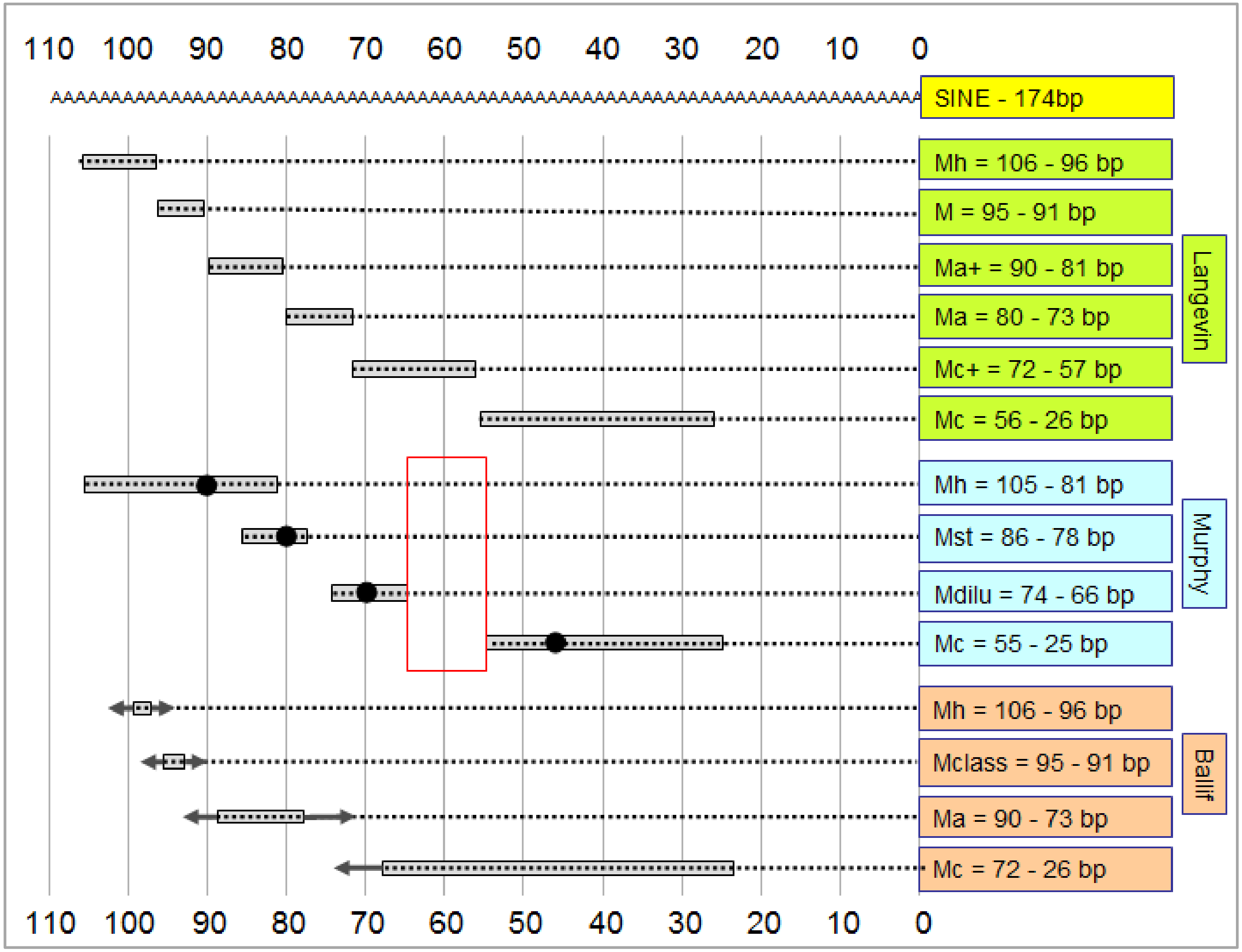 Genes 11 00660 g004