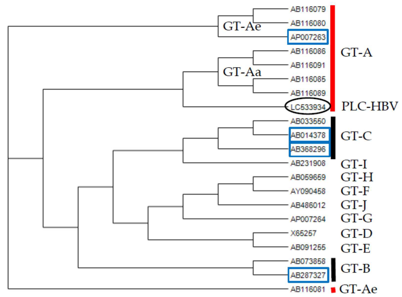 Genes Free Full Text Analysis Of Hbv Genomes Integrated Into The Genomes Of Human Hepatoma Plc Prf 5 Cells By Hbv Sequence Capture Based Next Generation Sequencing Html