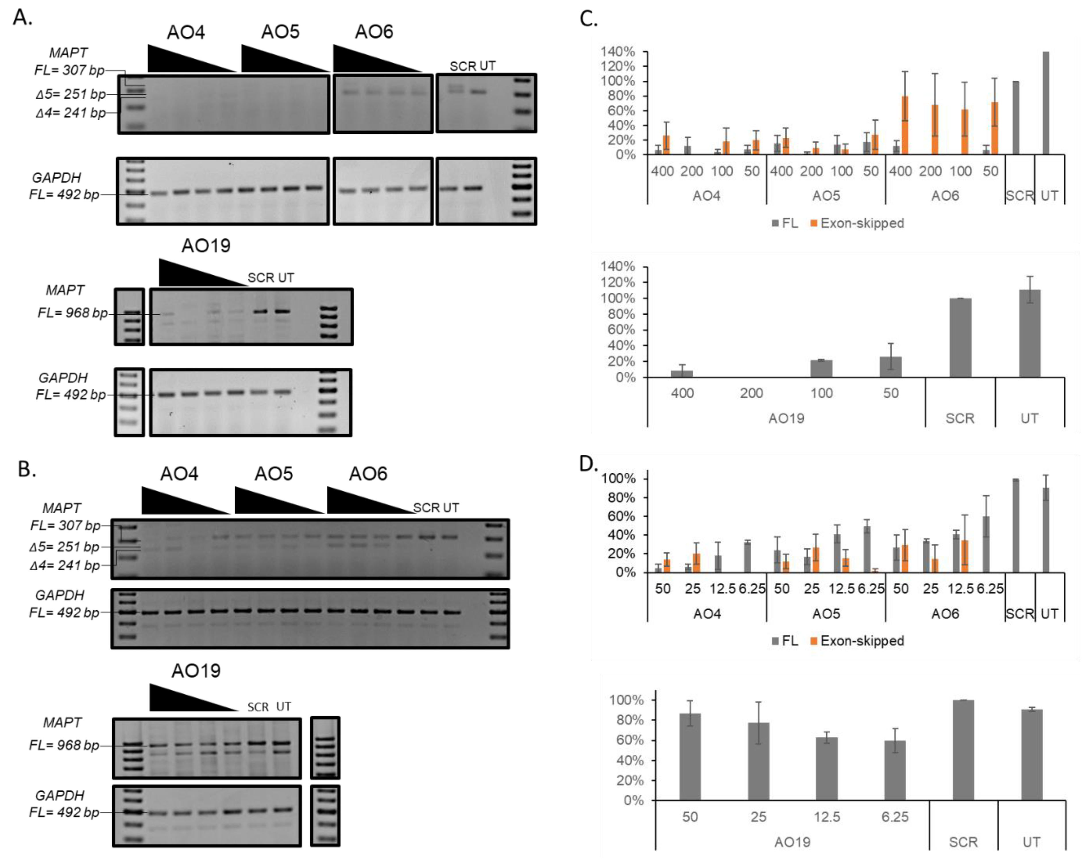 Genes 11 00667 g004 Genes 11 00667 g004