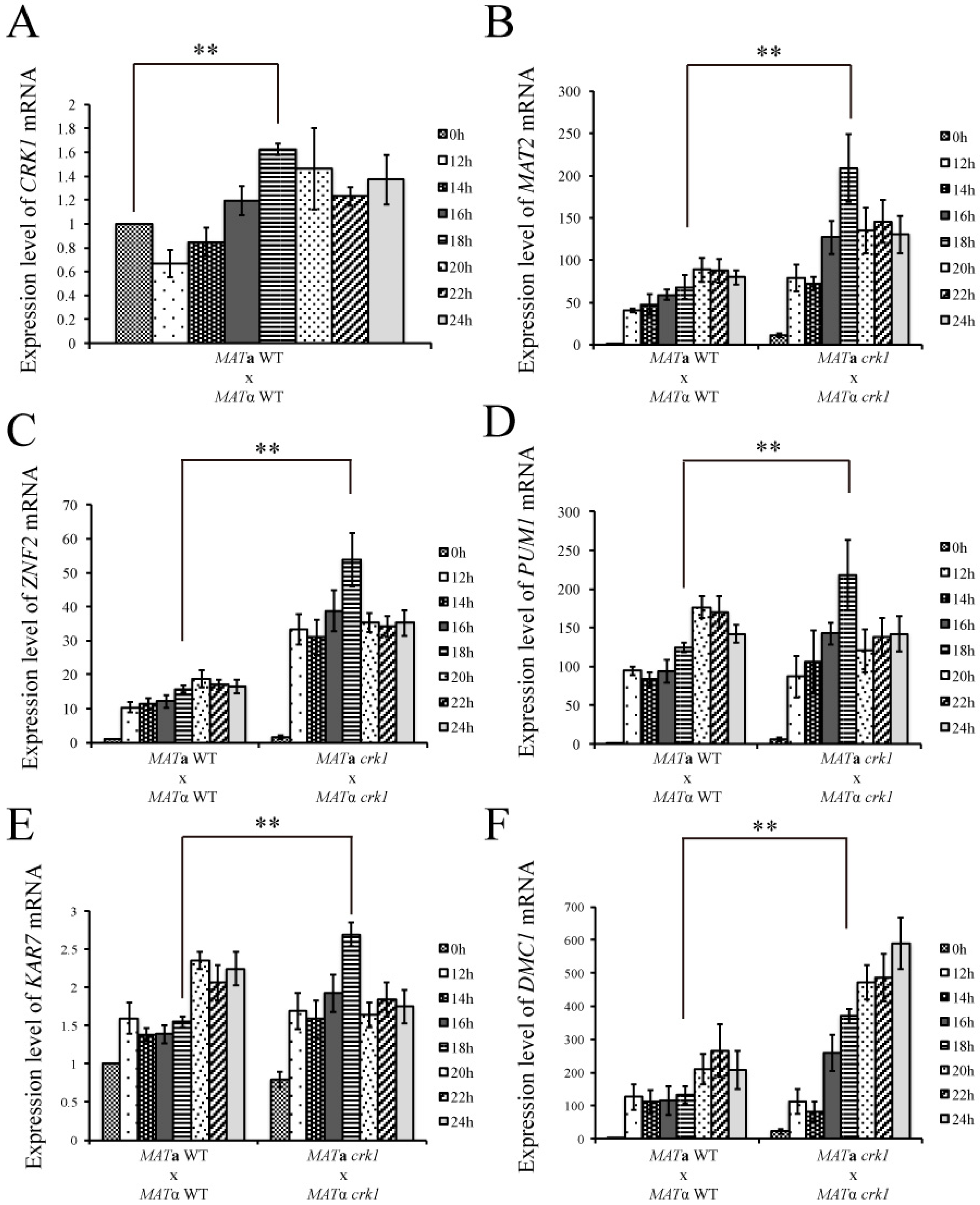 Genes 11 00669 g003 Genes 11 00669 g003