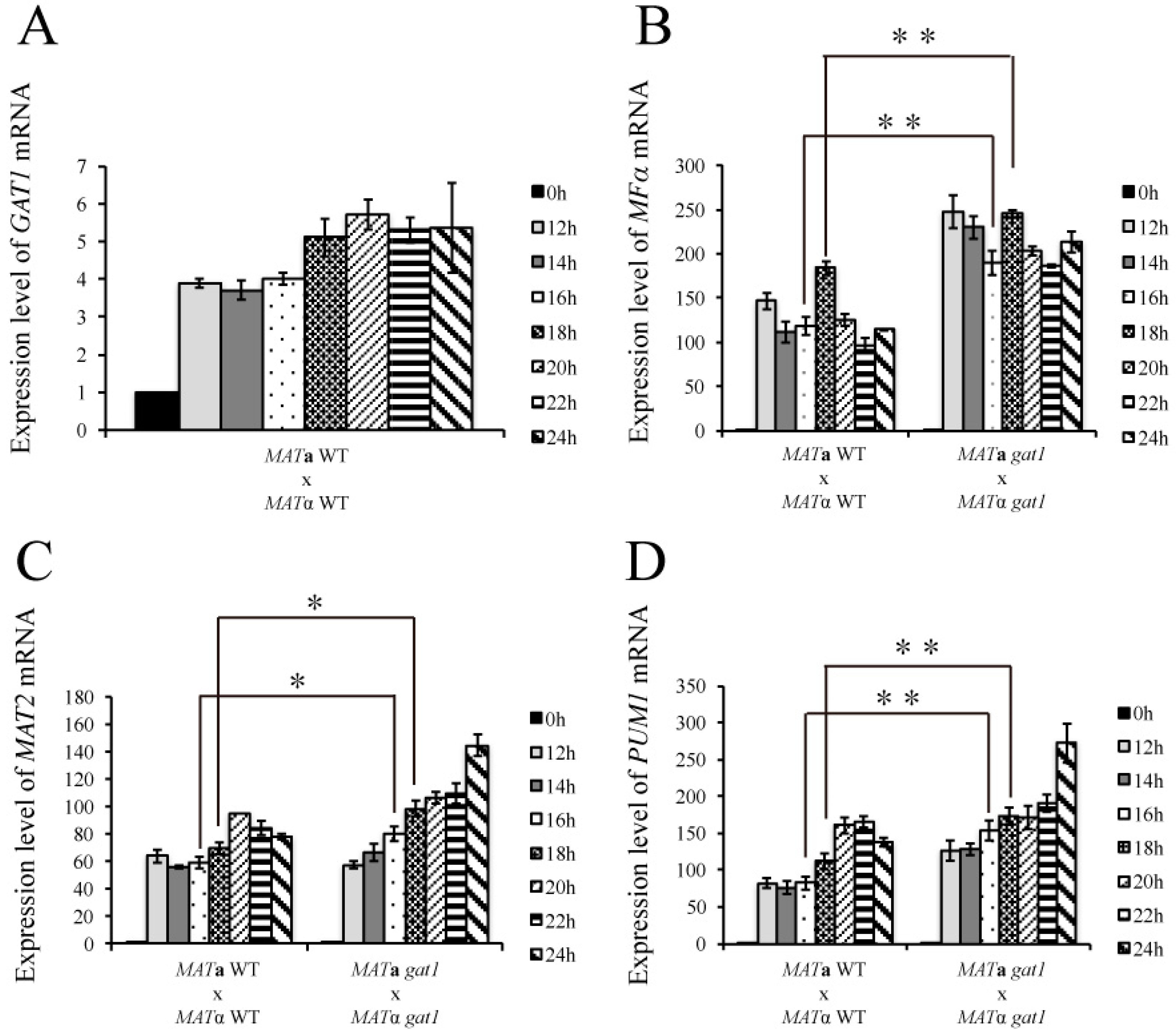 Genes 11 00669 g007 Genes 11 00669 g007