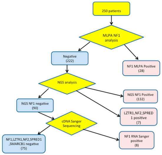 Genes Free FullText Simultaneous Detection of NF1, SPRED1, LZTR1