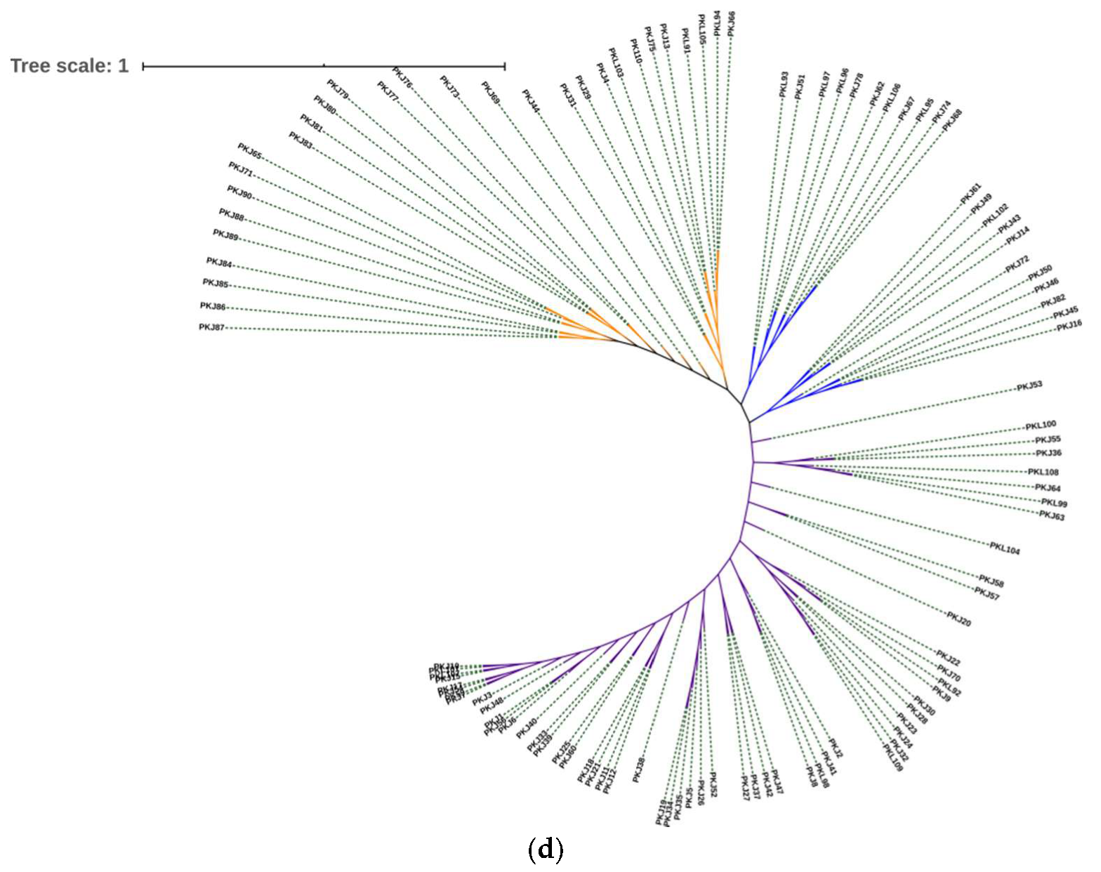 Genes 11 00673 g003b Genes 11 00673 g003b