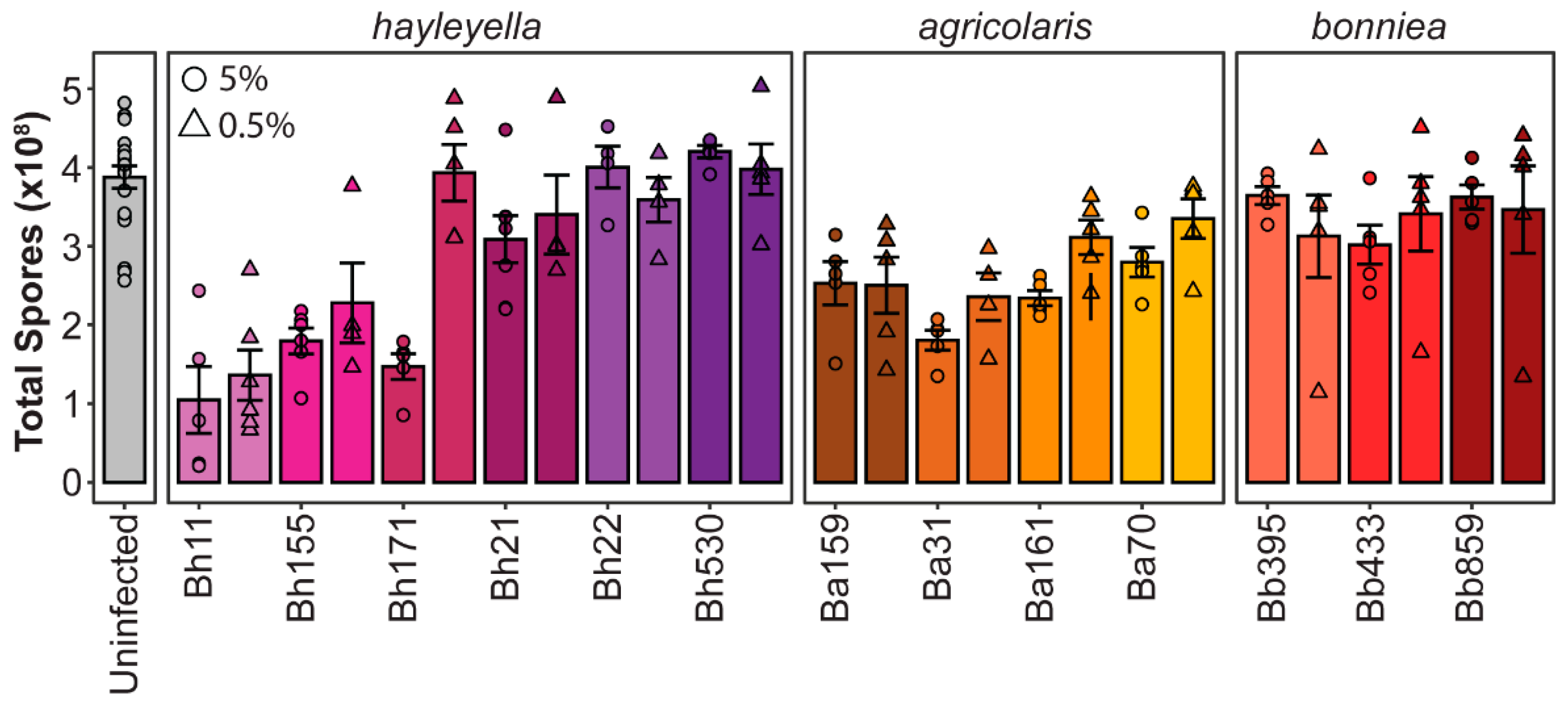 Genes 11 00674 g004 Genes 11 00674 g004