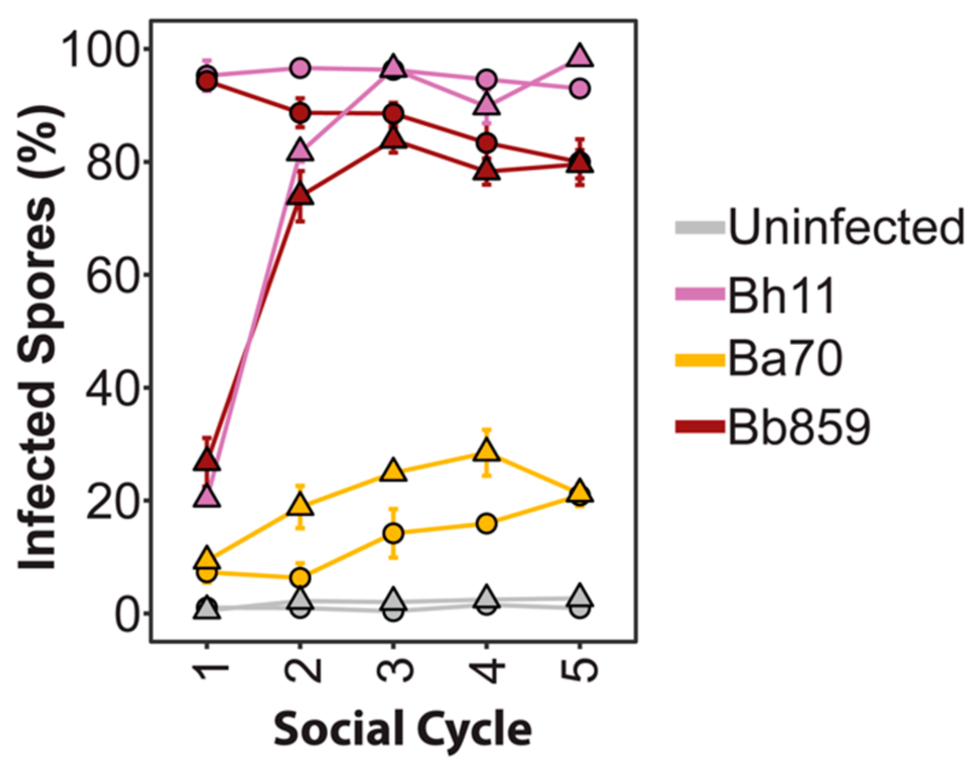 Genes 11 00674 g007 Genes 11 00674 g007