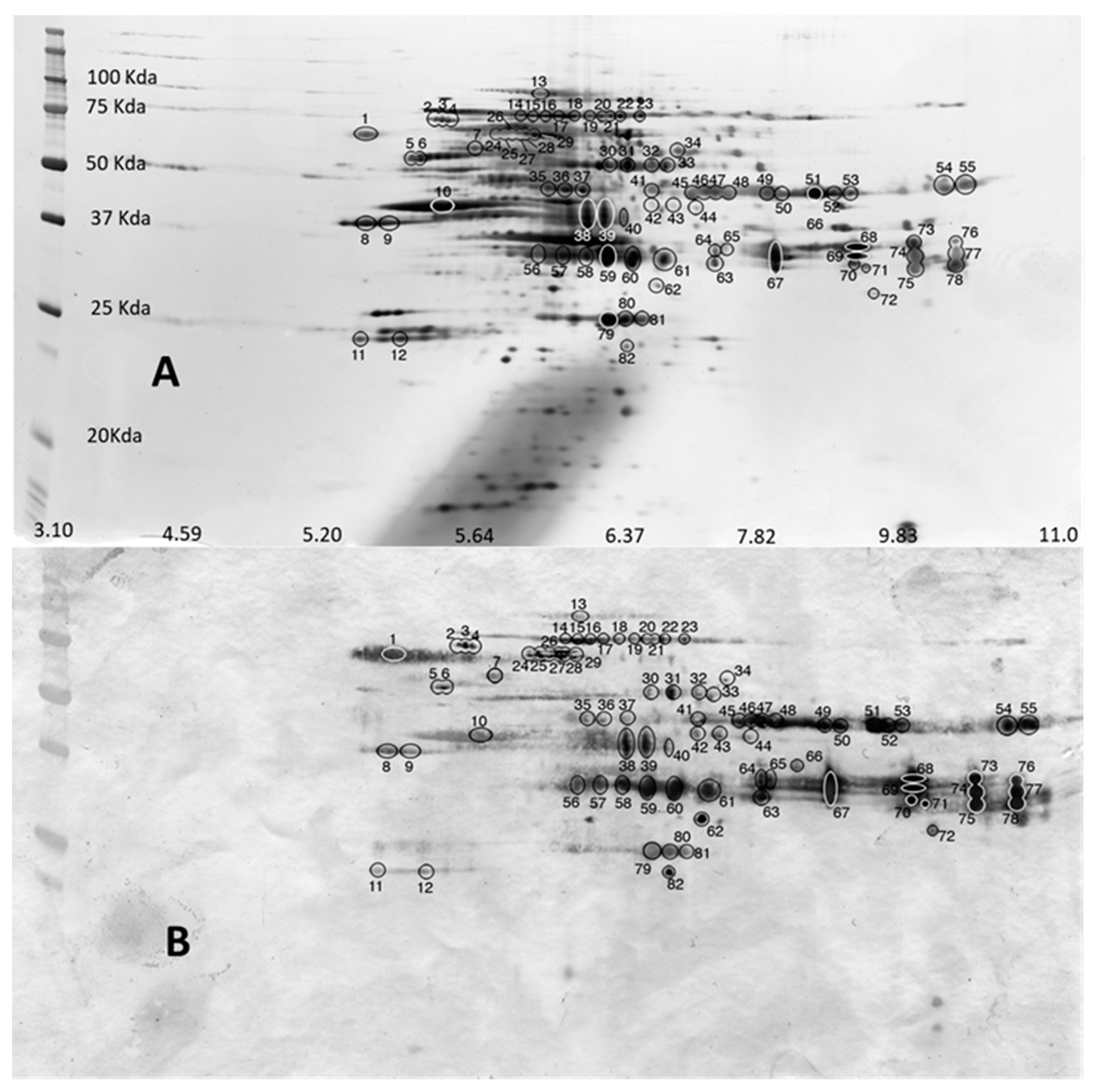 Genes 11 00683 g003 Genes 11 00683 g003