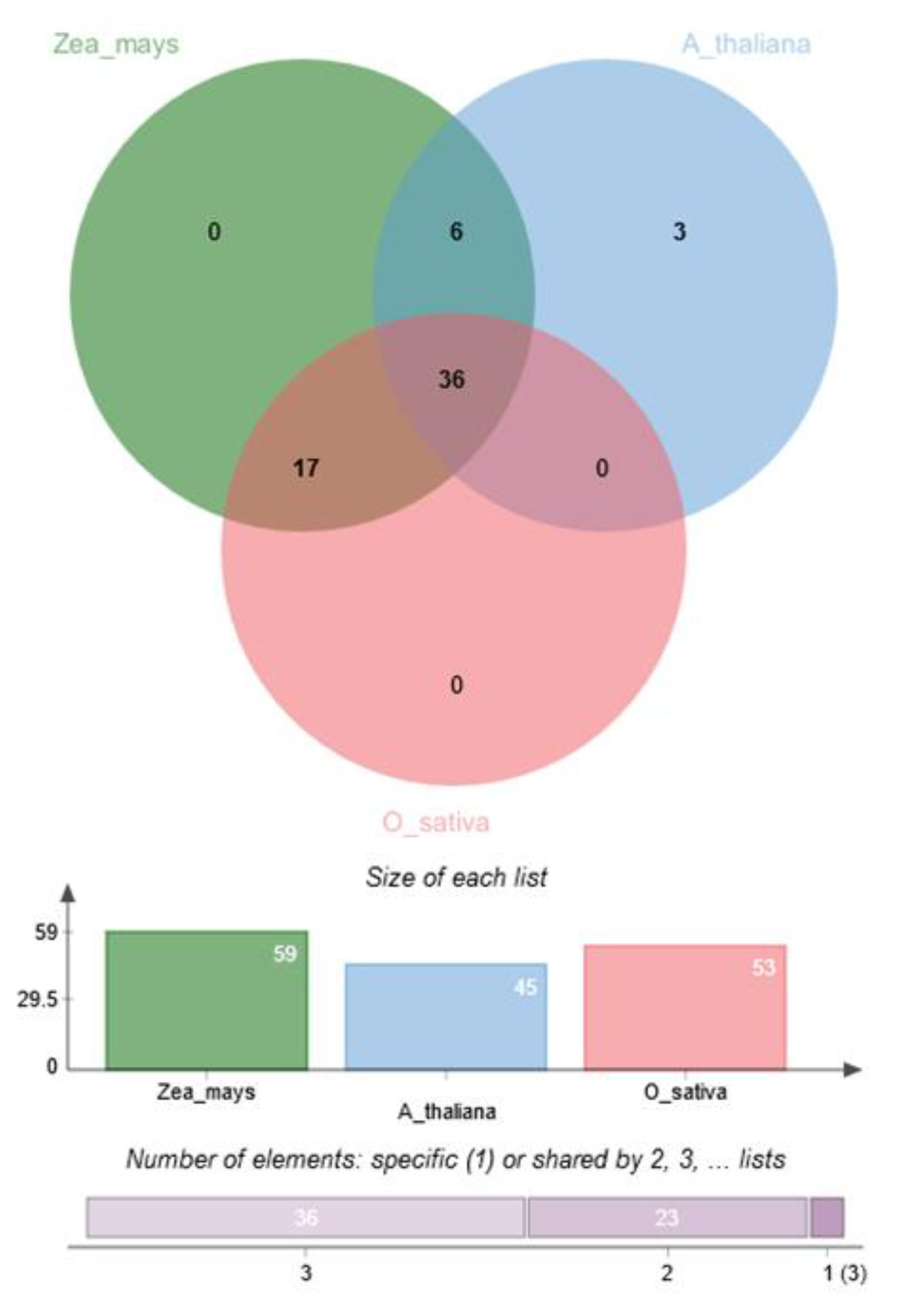 Genes 11 00689 g006 Genes 11 00689 g006