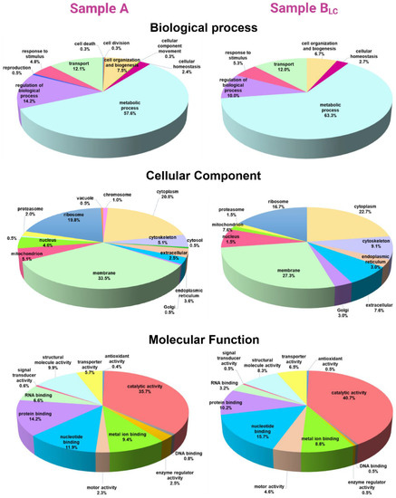 Genes June 2020 Browse Articles
