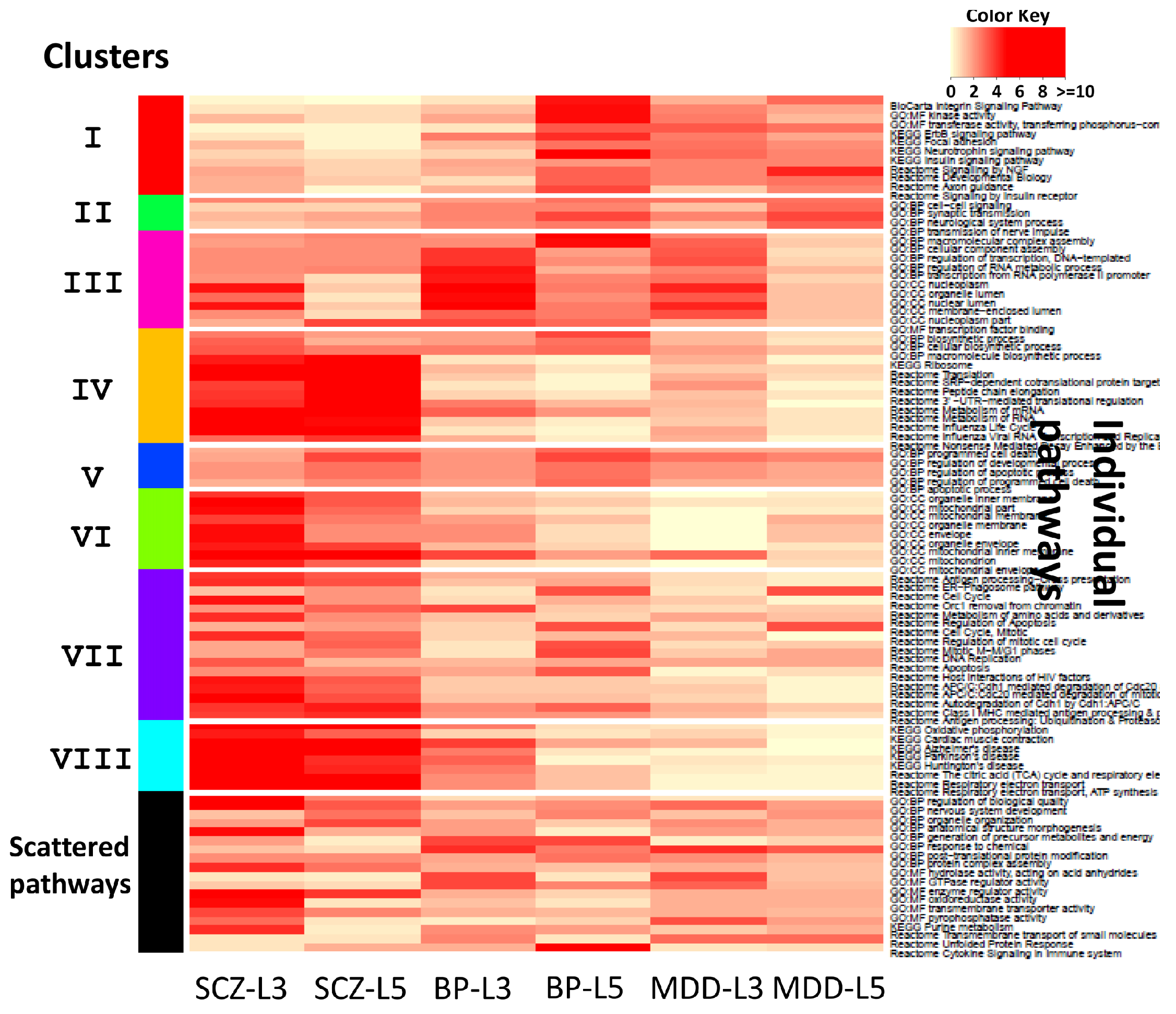 Genes 11 00696 g004