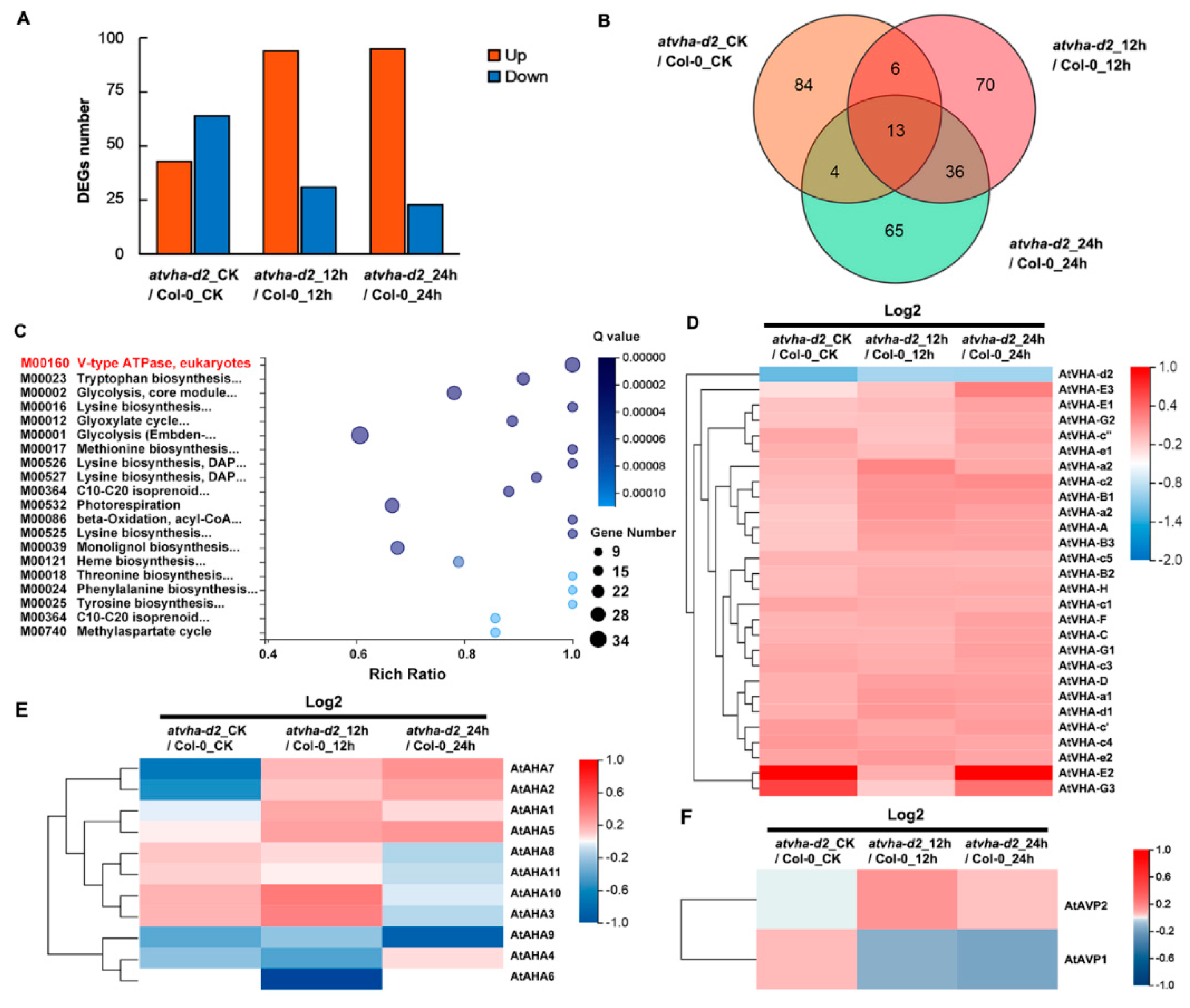 Genes 11 00701 g009