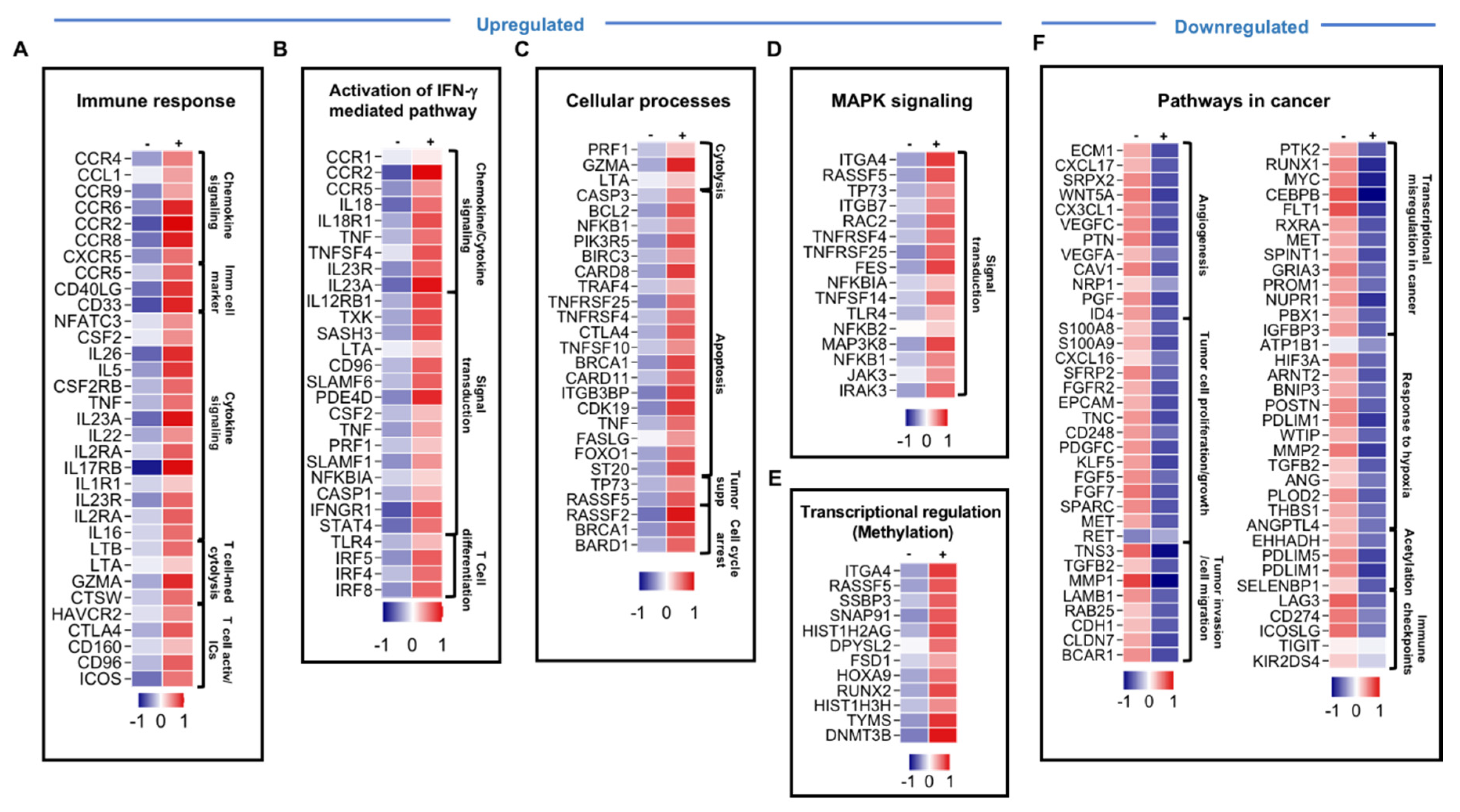 Genes 11 00703 g002 Genes 11 00703 g002