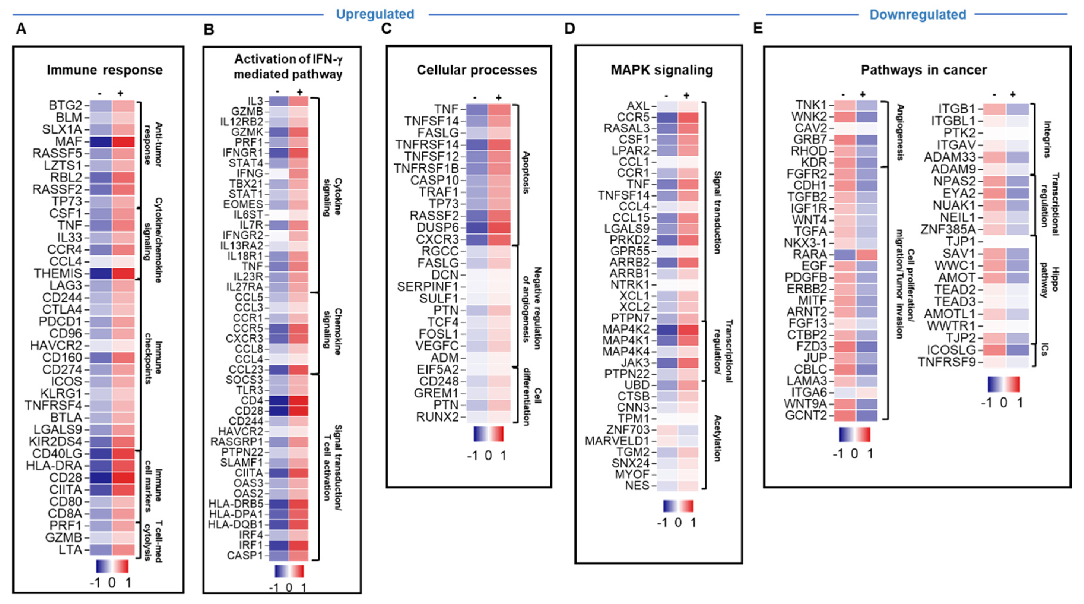 Genes 11 00703 g003 Genes 11 00703 g003