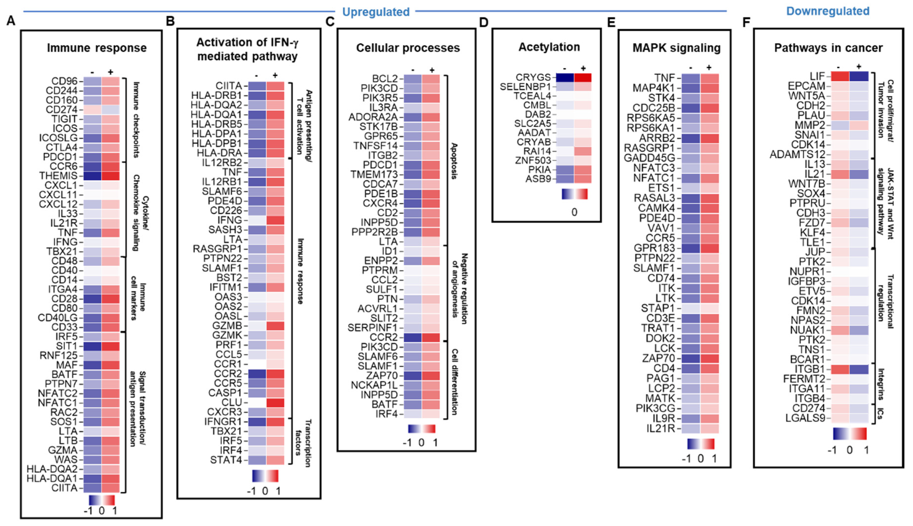 Genes 11 00703 g004 Genes 11 00703 g004