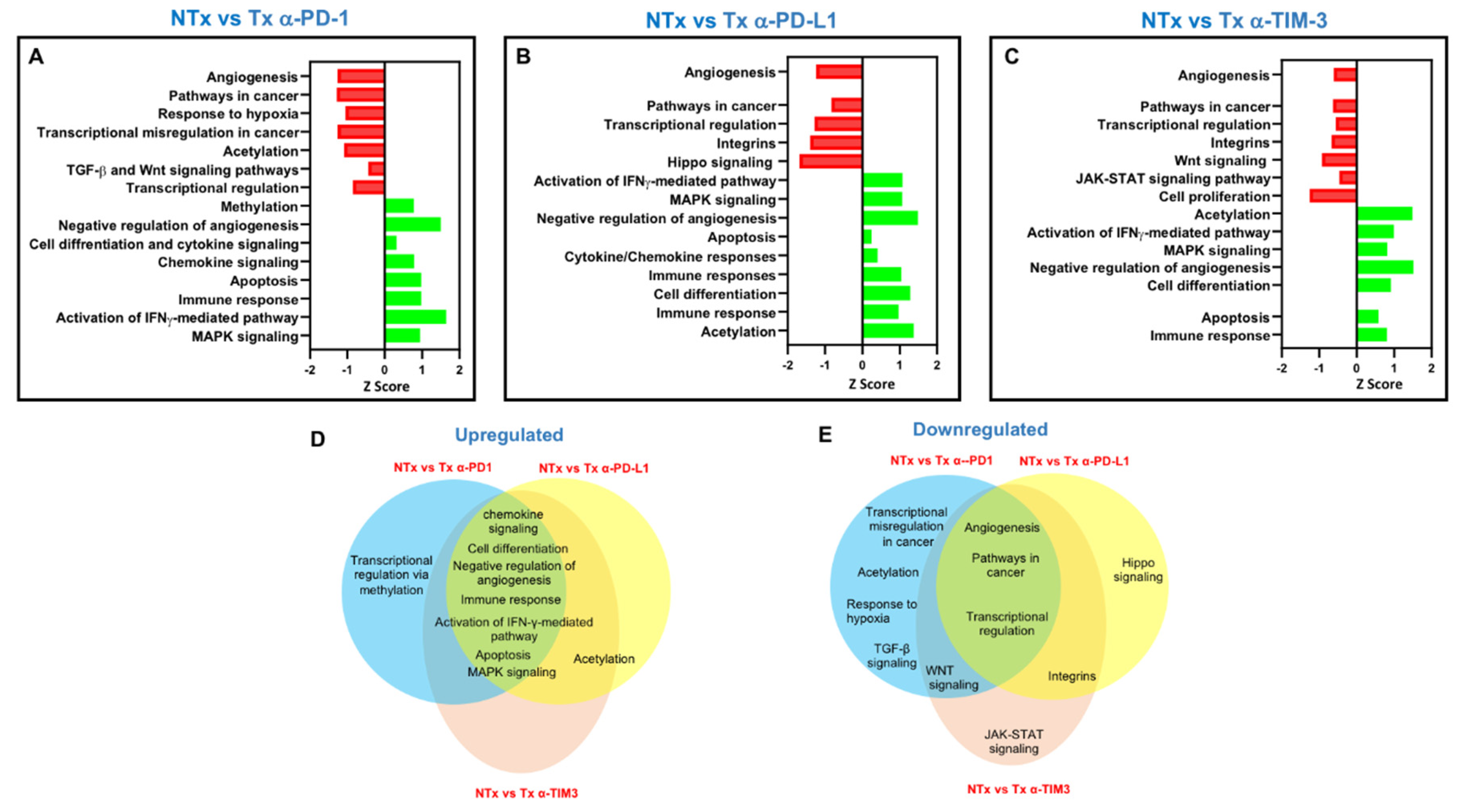 Genes 11 00703 g005 Genes 11 00703 g005