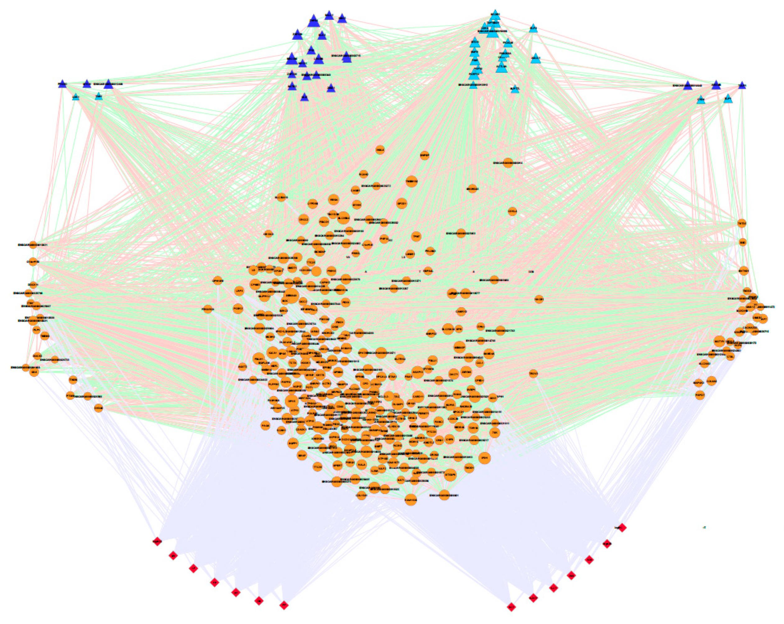 Genes 11 00715 g004 Genes 11 00715 g004
