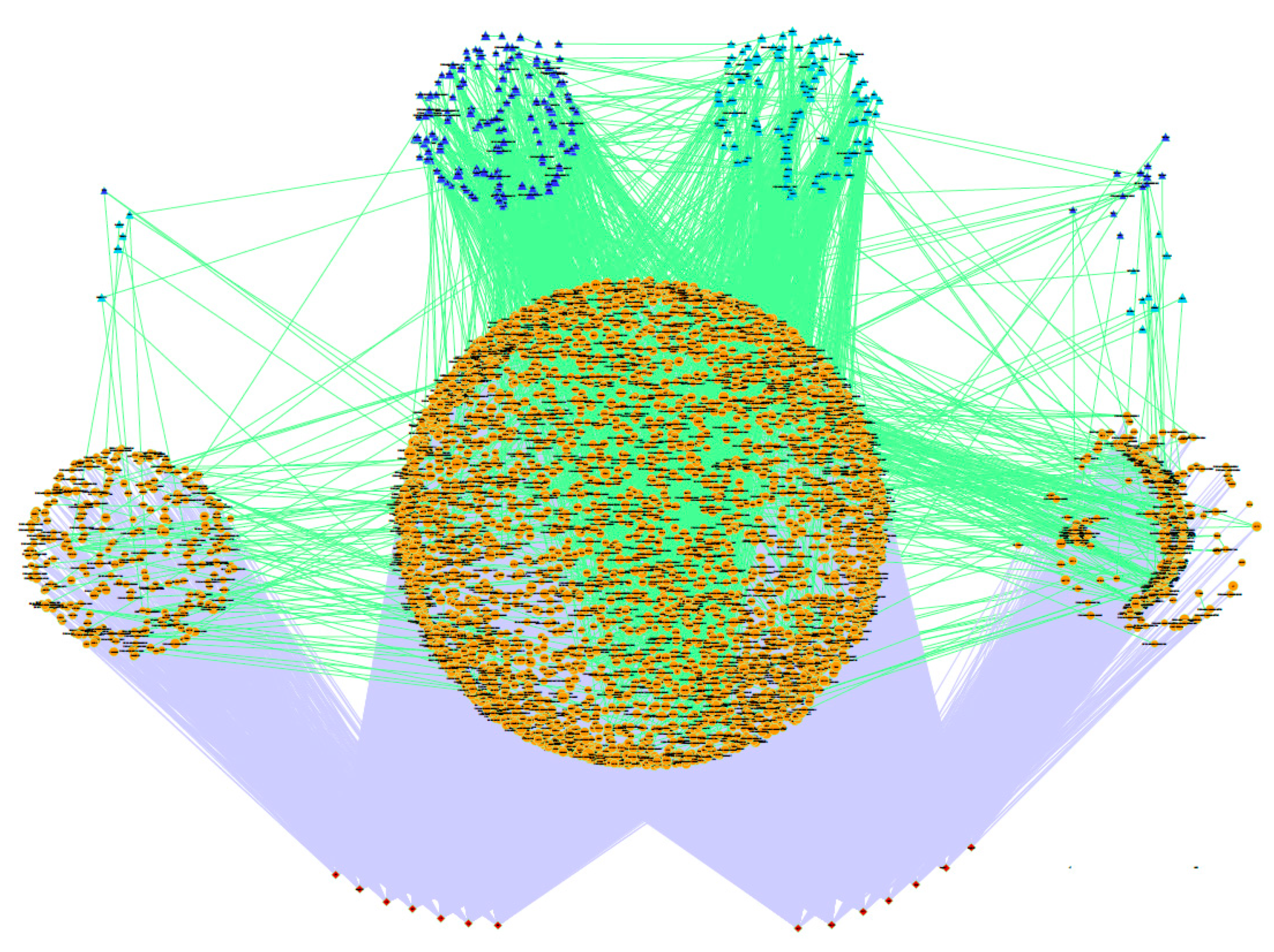 Genes 11 00715 g005 Genes 11 00715 g005