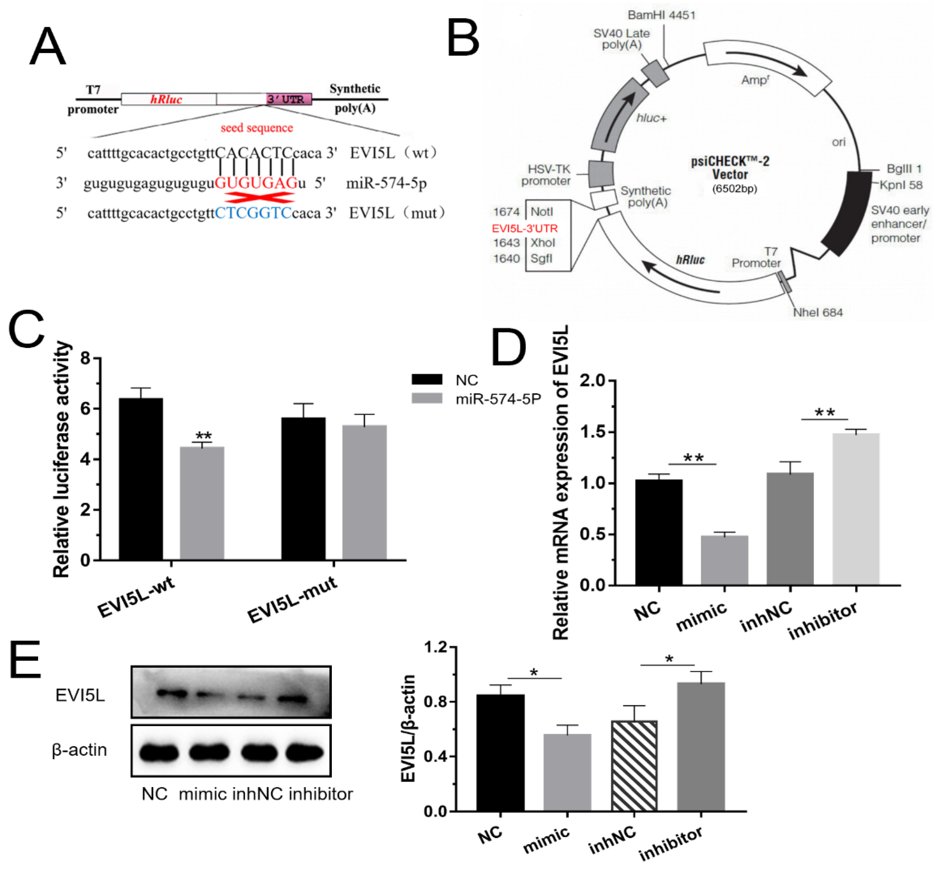 Genes 11 00718 g001