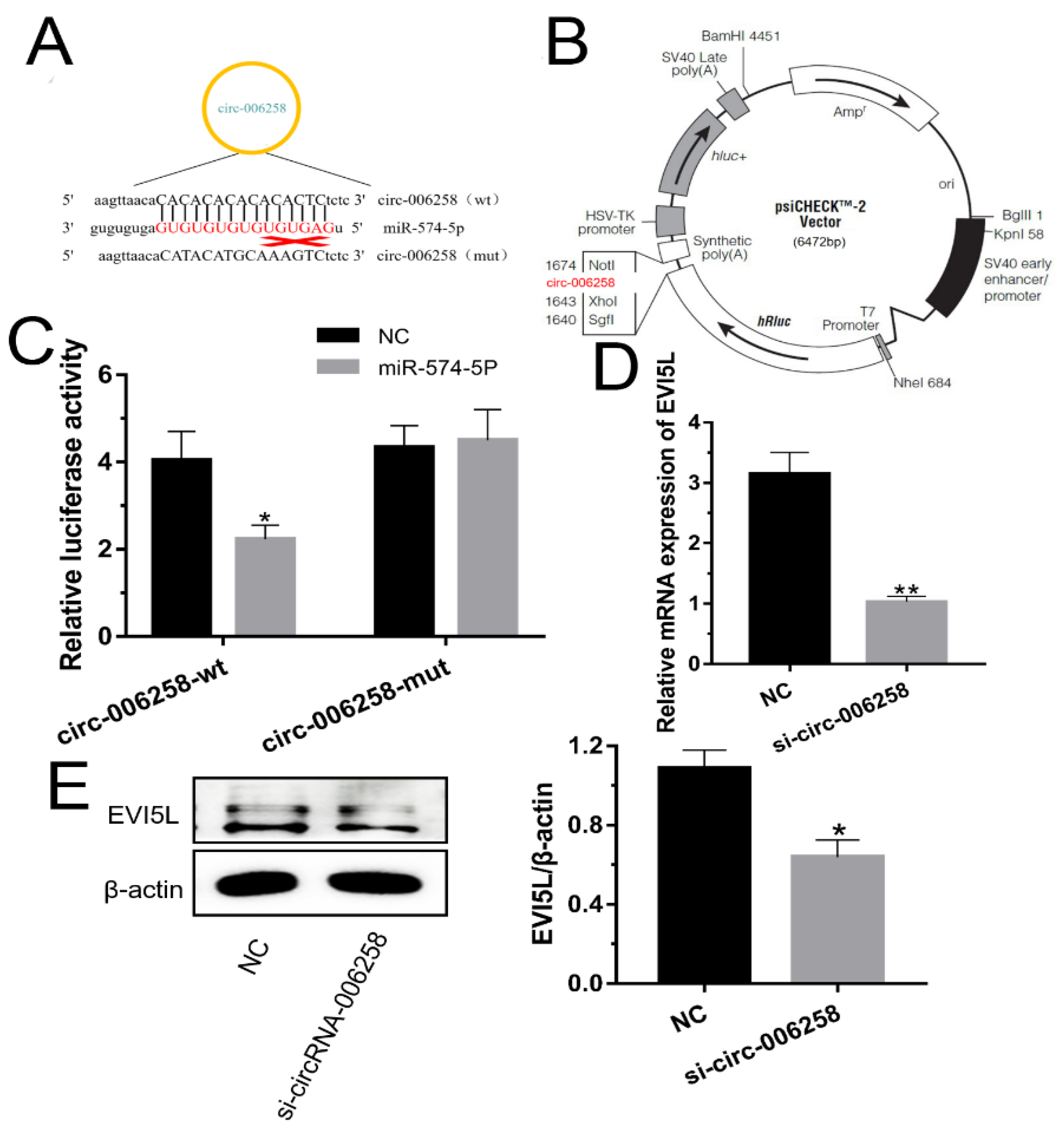 Genes 11 00718 g005