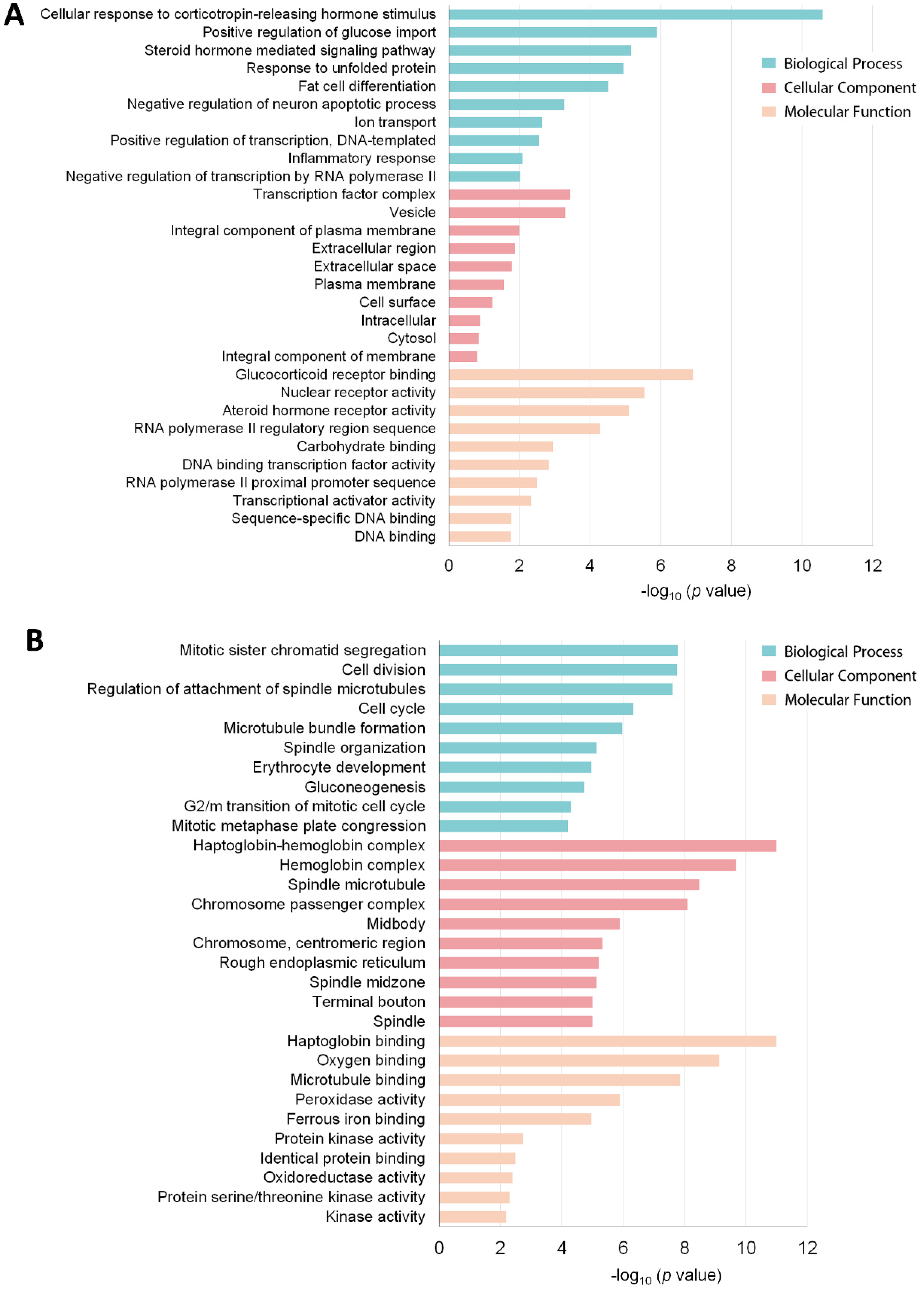 Genes 11 00720 g003 Genes 11 00720 g003