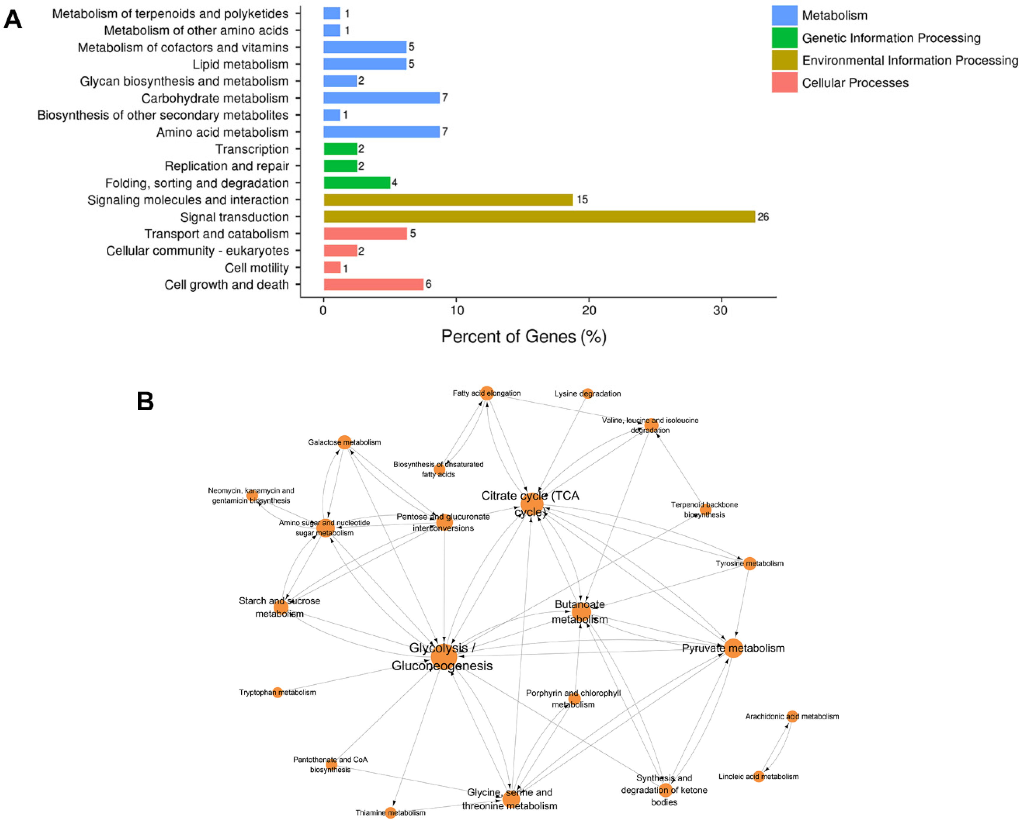 Genes 11 00720 g005 Genes 11 00720 g005