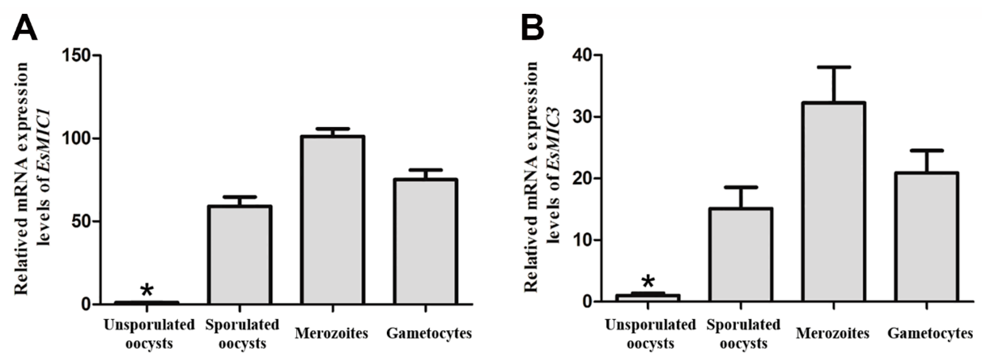 Genes 11 00725 g002 Genes 11 00725 g002