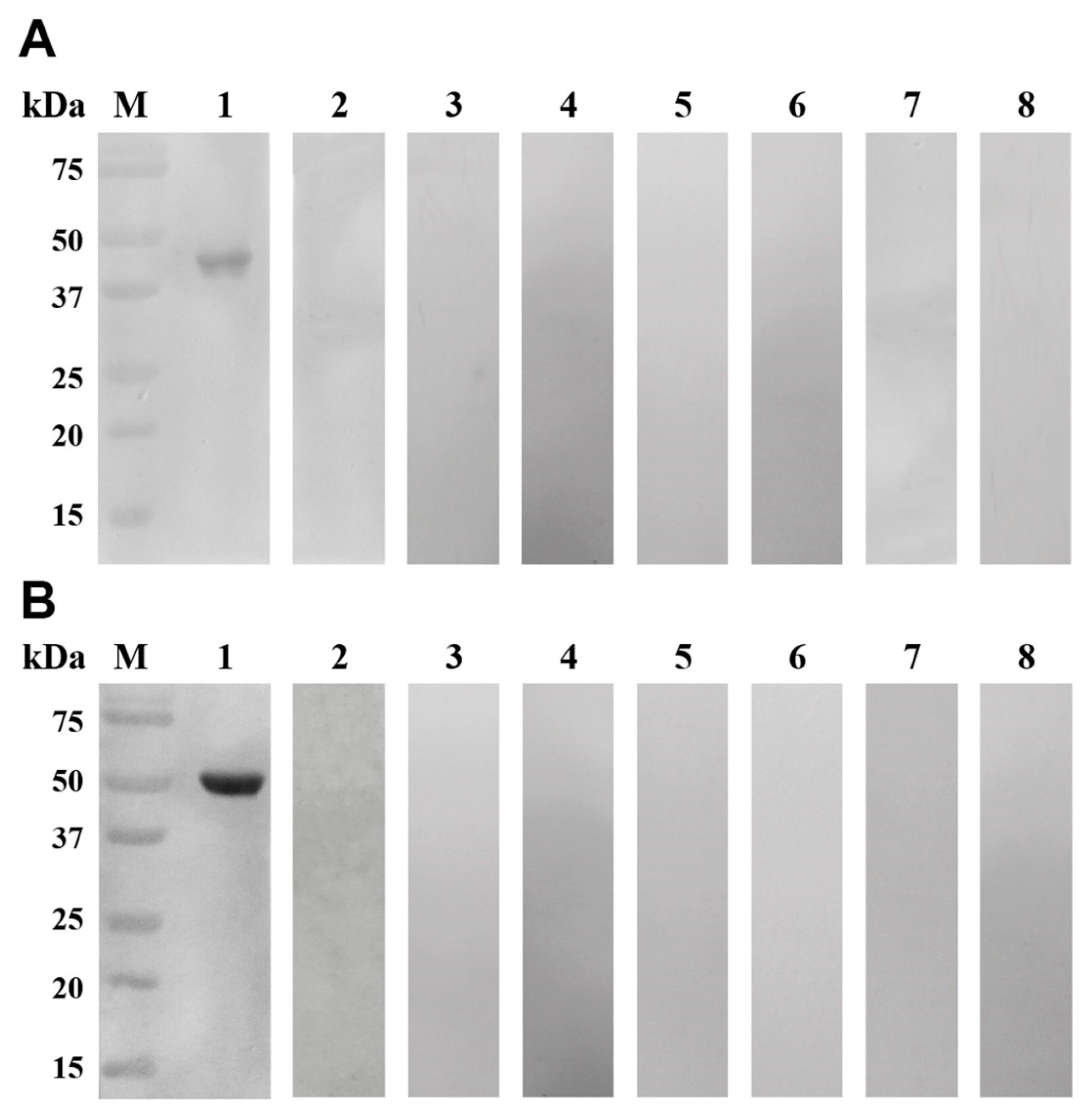 Genes 11 00725 g004 Genes 11 00725 g004