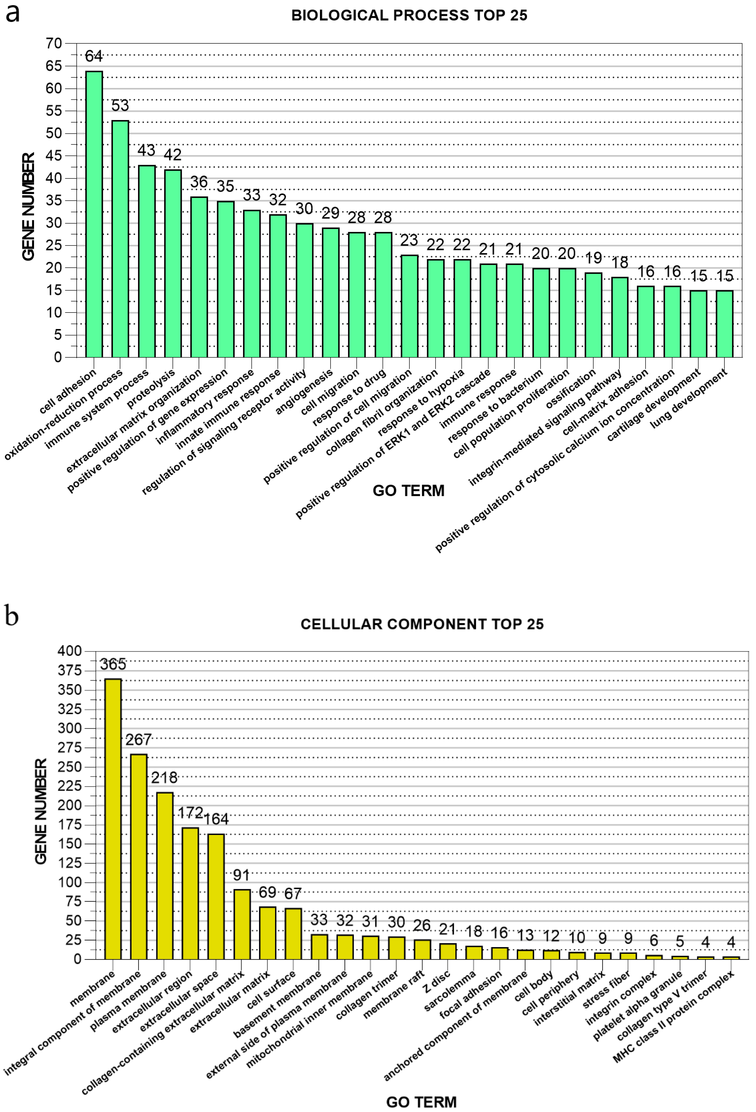 Genes 11 00726 g006a Genes 11 00726 g006a