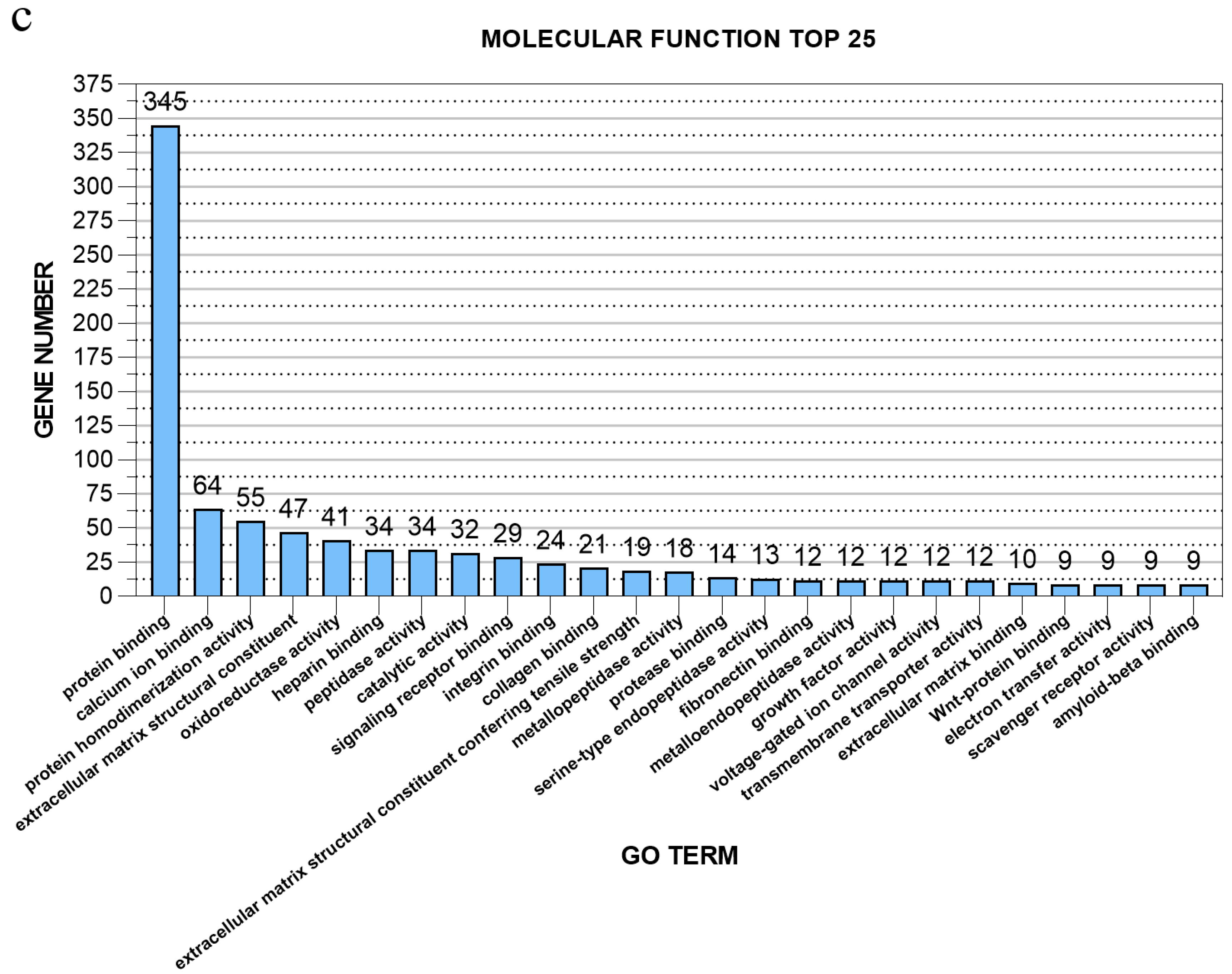 Genes 11 00726 g006b Genes 11 00726 g006b