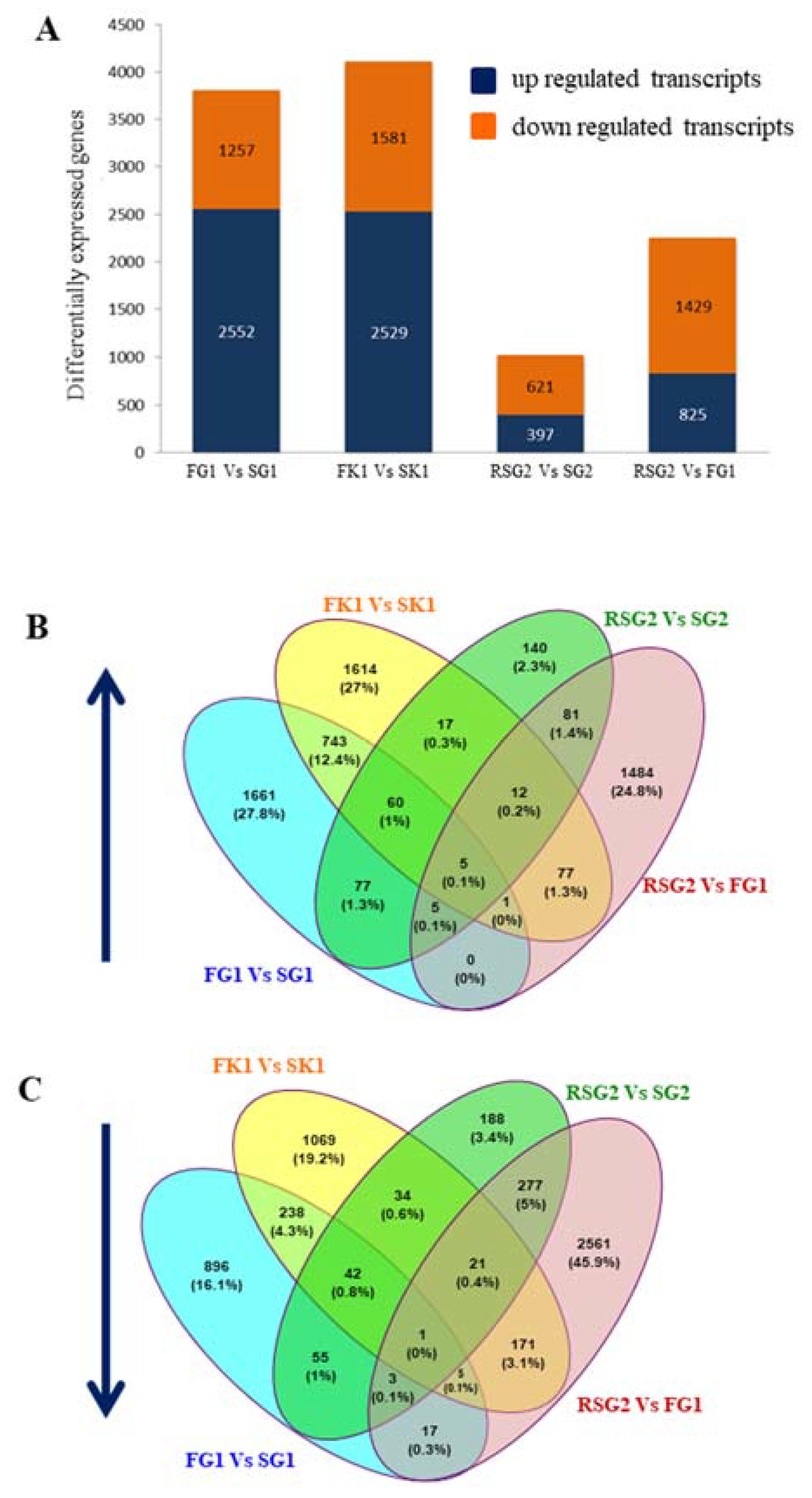 Genes 11 00733 g004