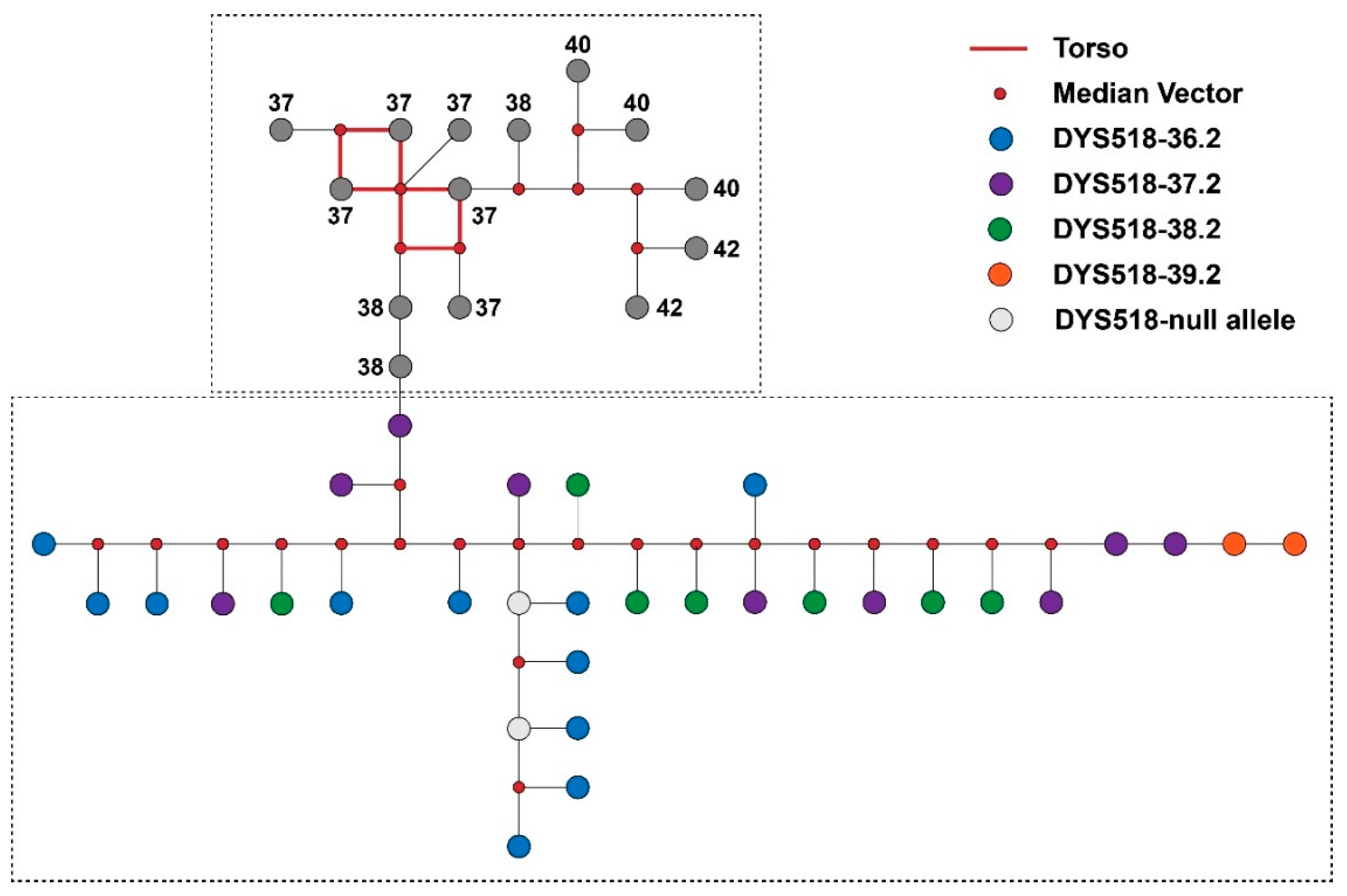 Genes 11 00743 g004 Genes 11 00743 g004