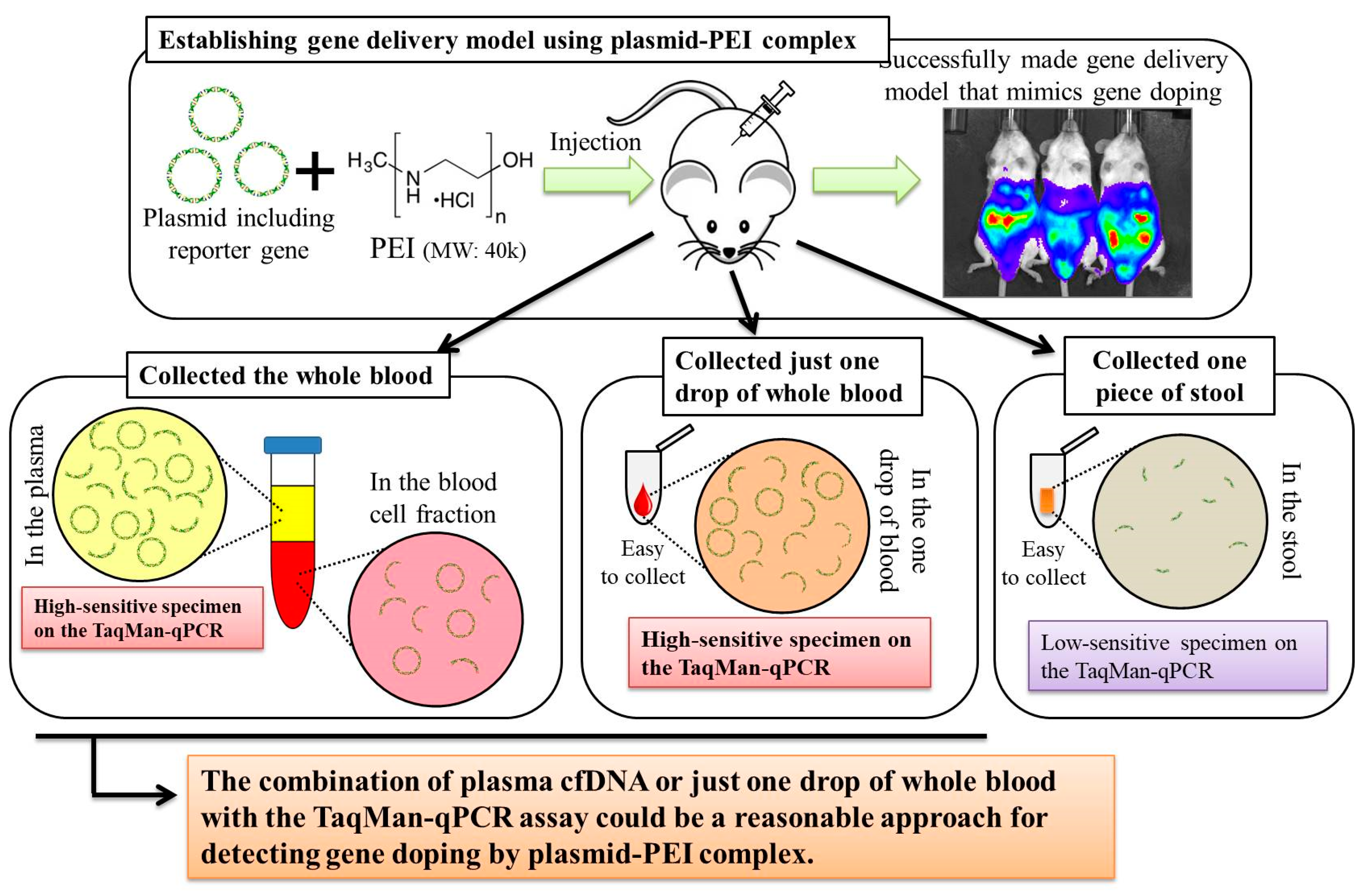 Genes 11 00750 g008