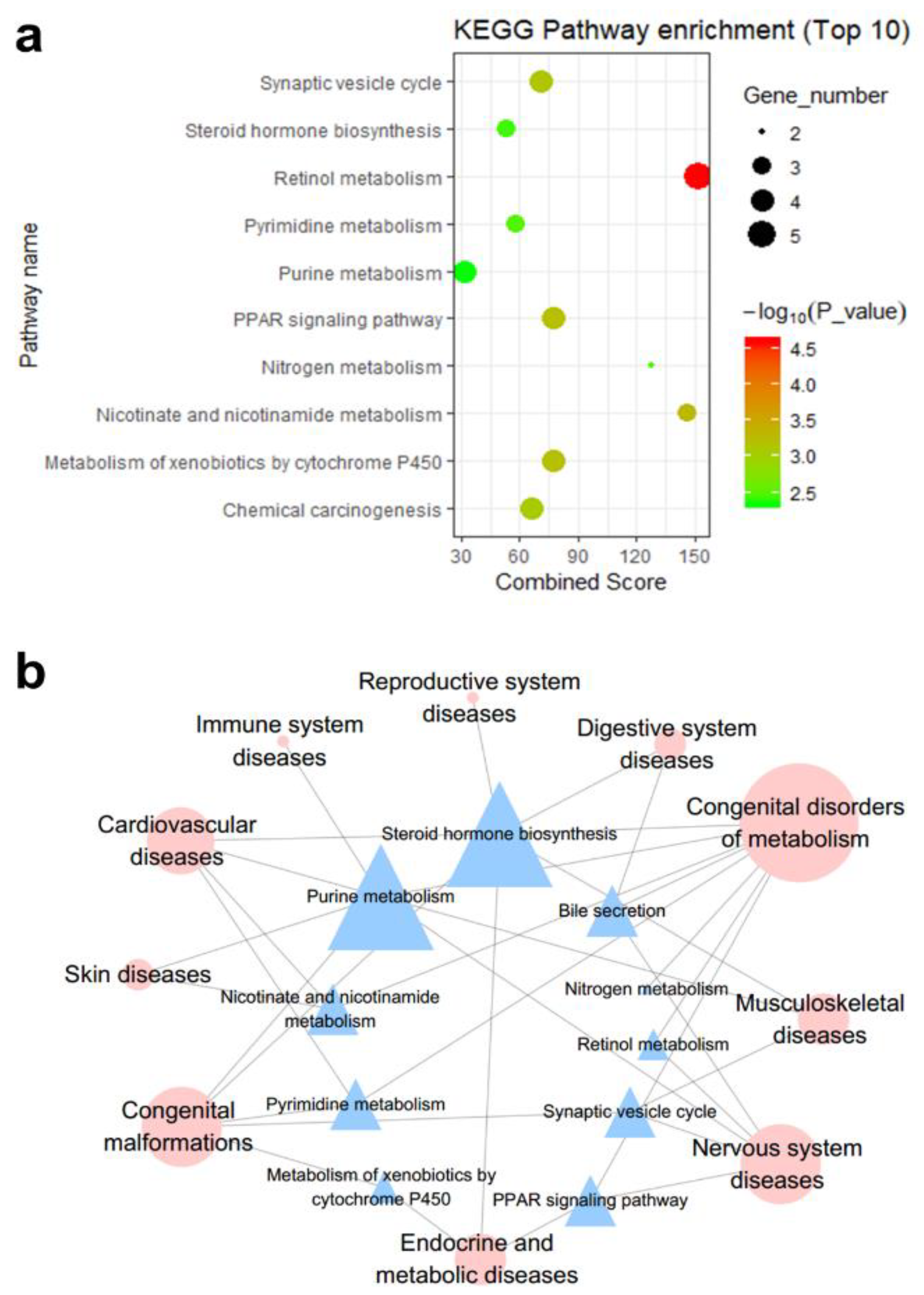 Genes 11 00754 g003 Genes 11 00754 g003