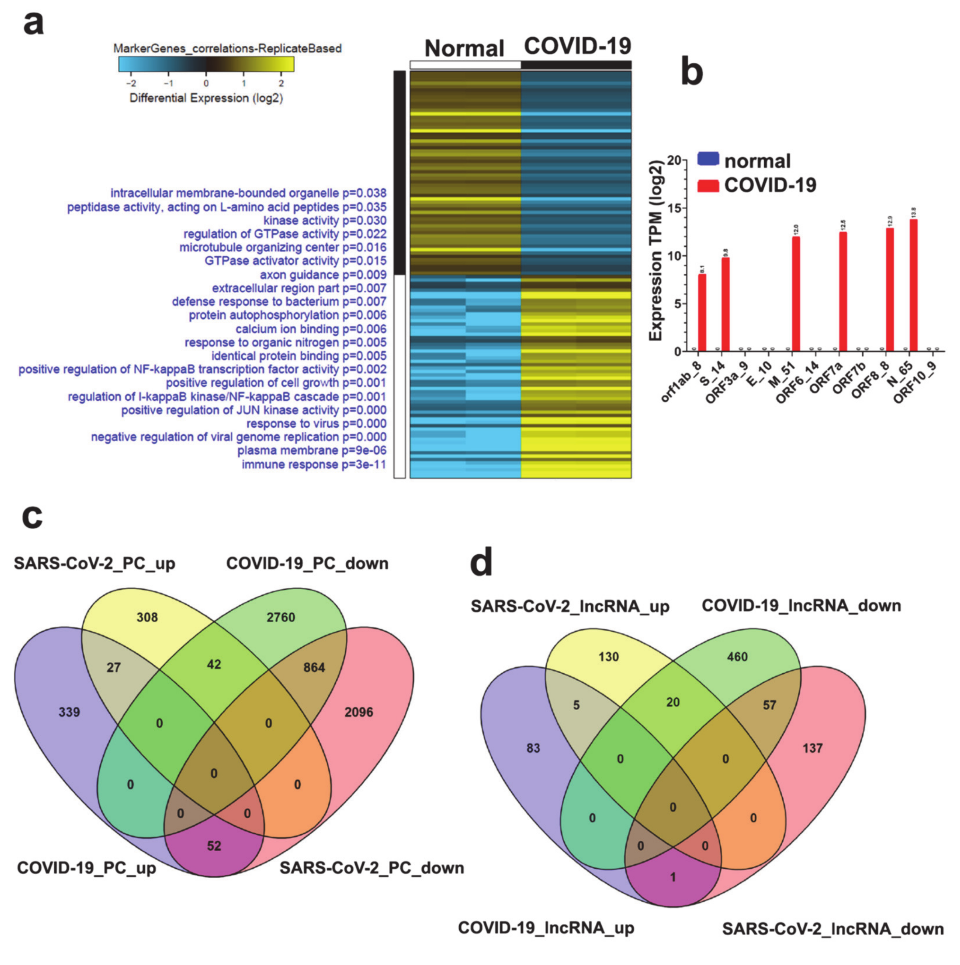 Genes 11 00760 g005 Genes 11 00760 g005