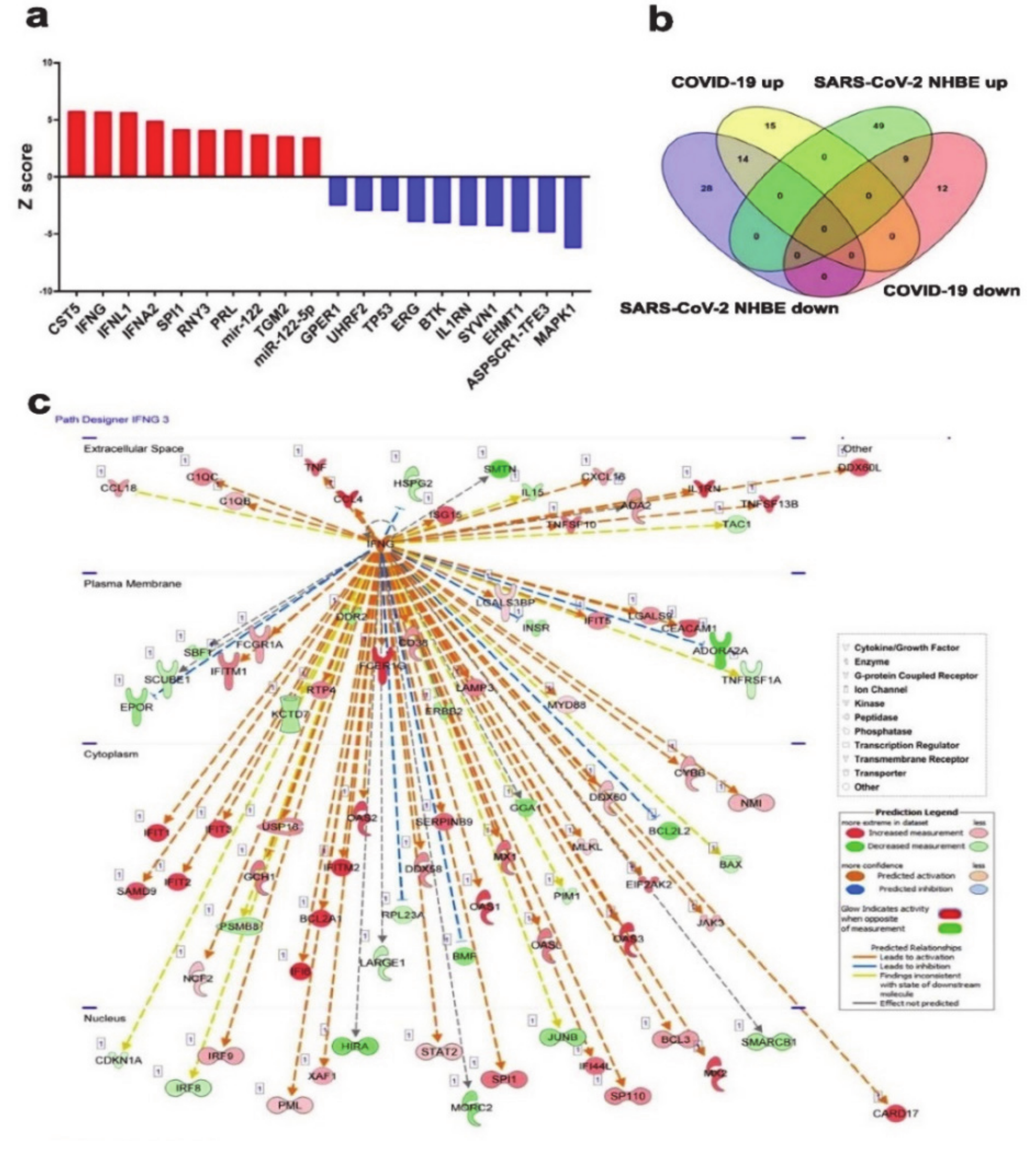 Genes 11 00760 g006 Genes 11 00760 g006