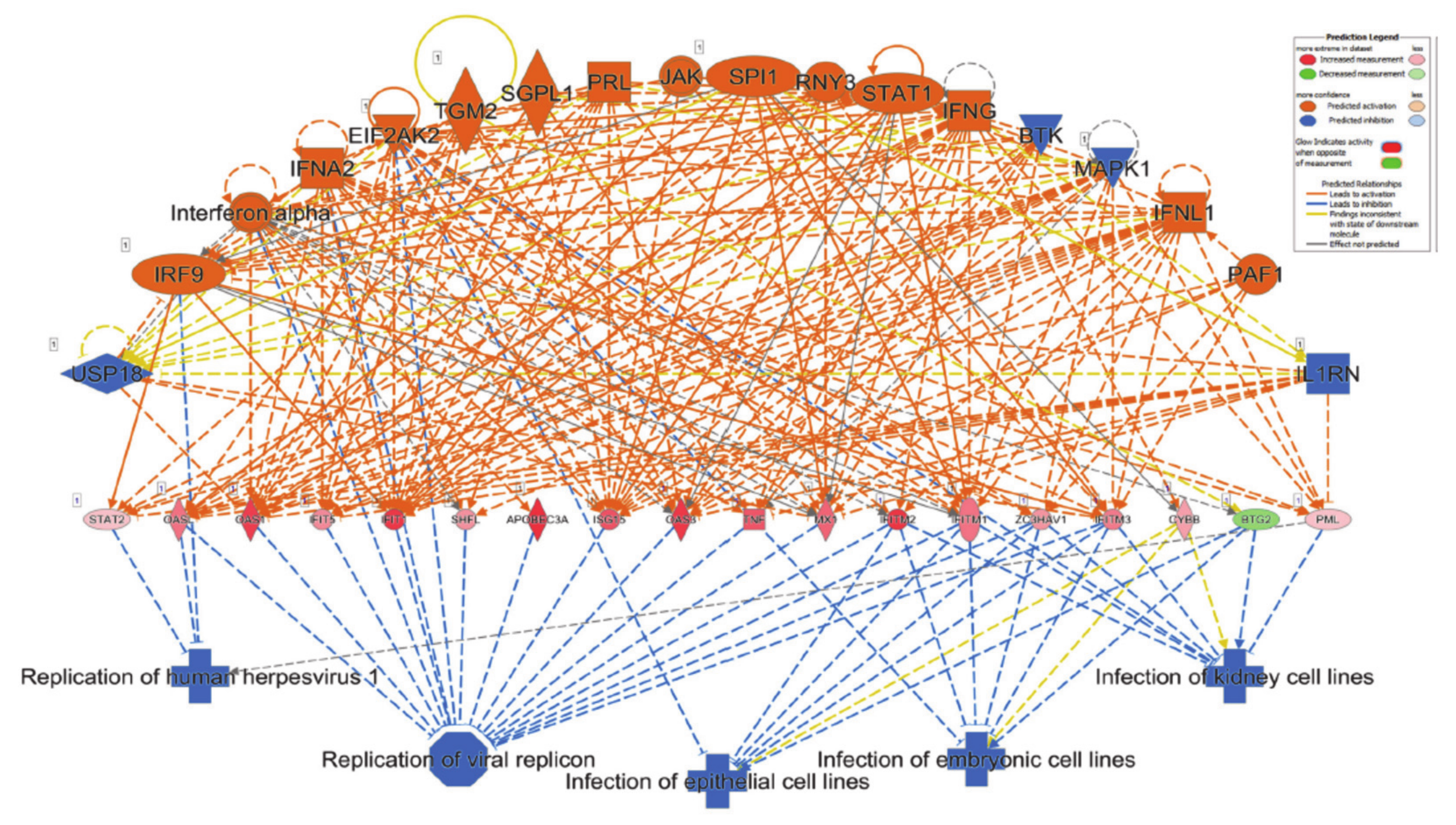 Genes 11 00760 g007 Genes 11 00760 g007