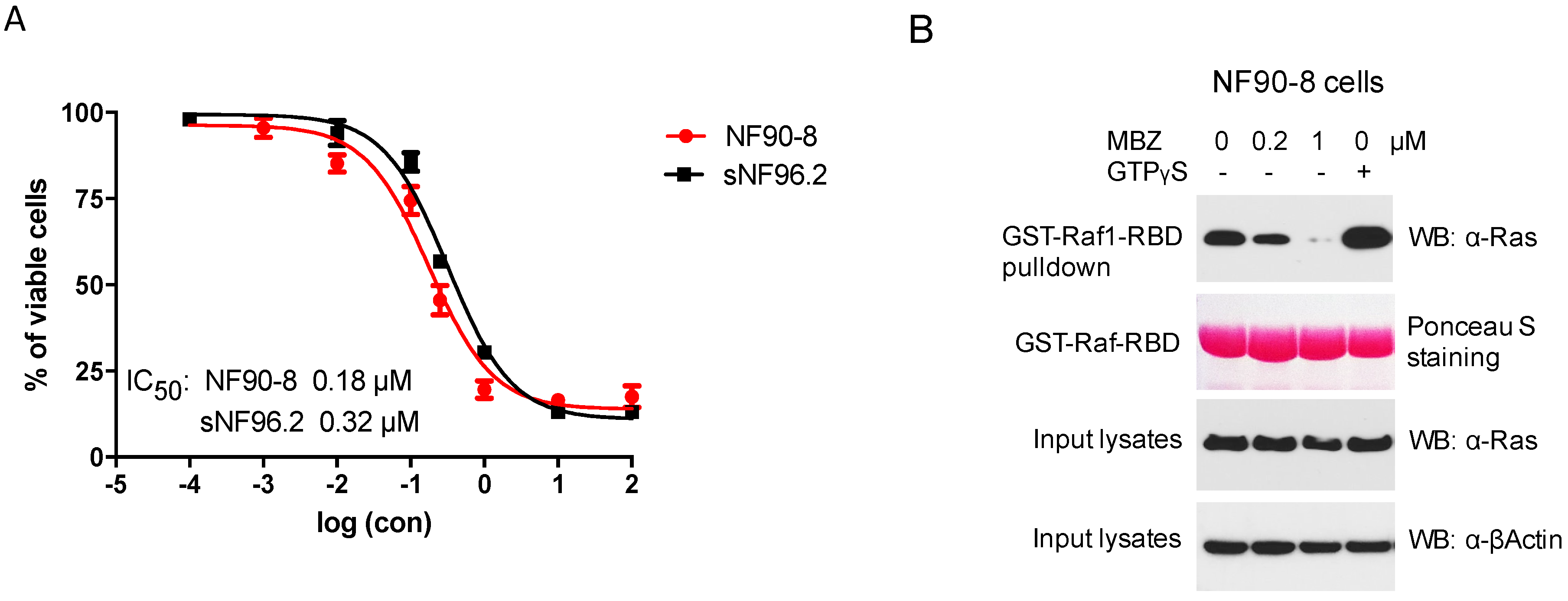 Genes 11 00762 g001 Genes 11 00762 g001