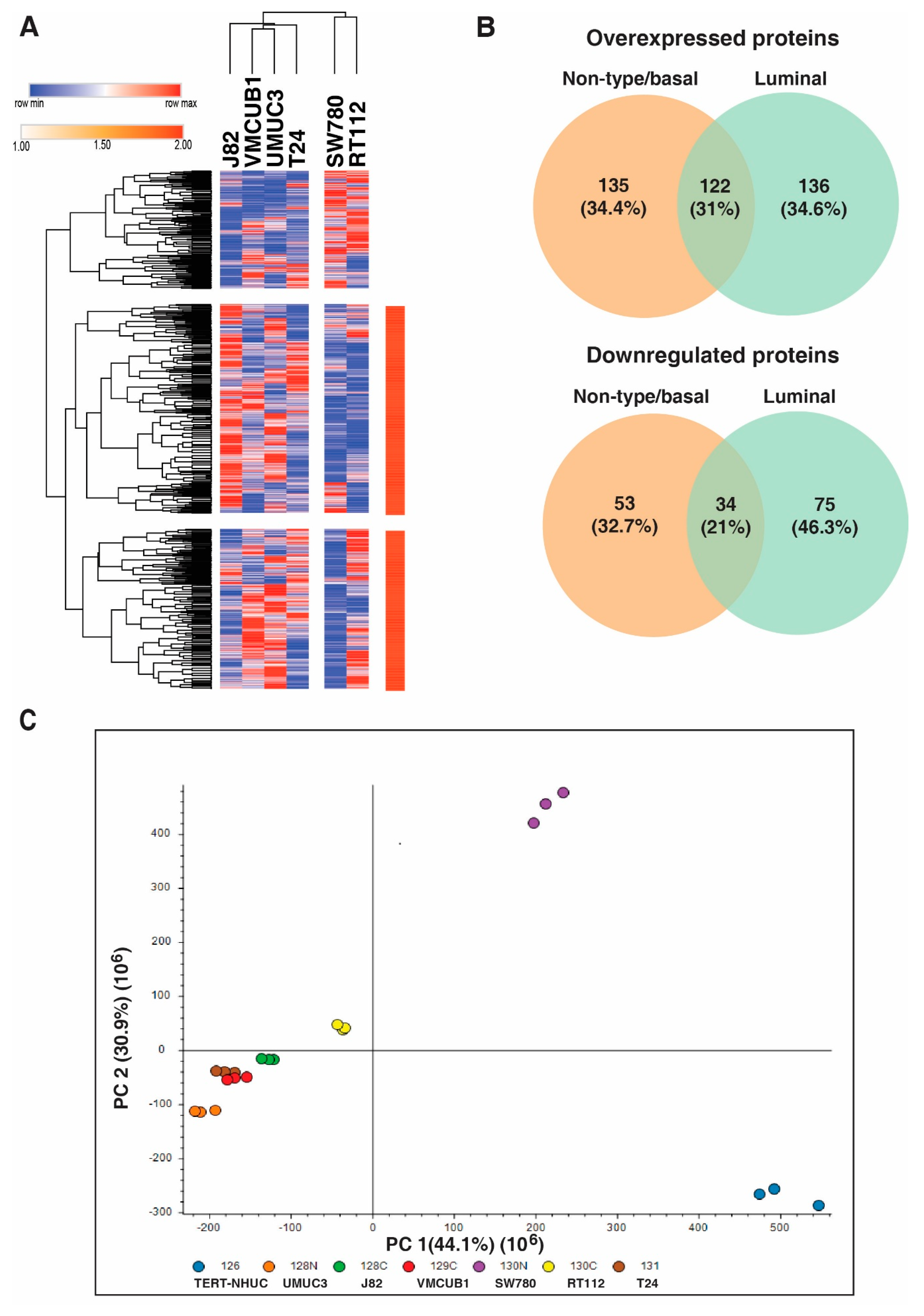 Genes 11 00763 g002