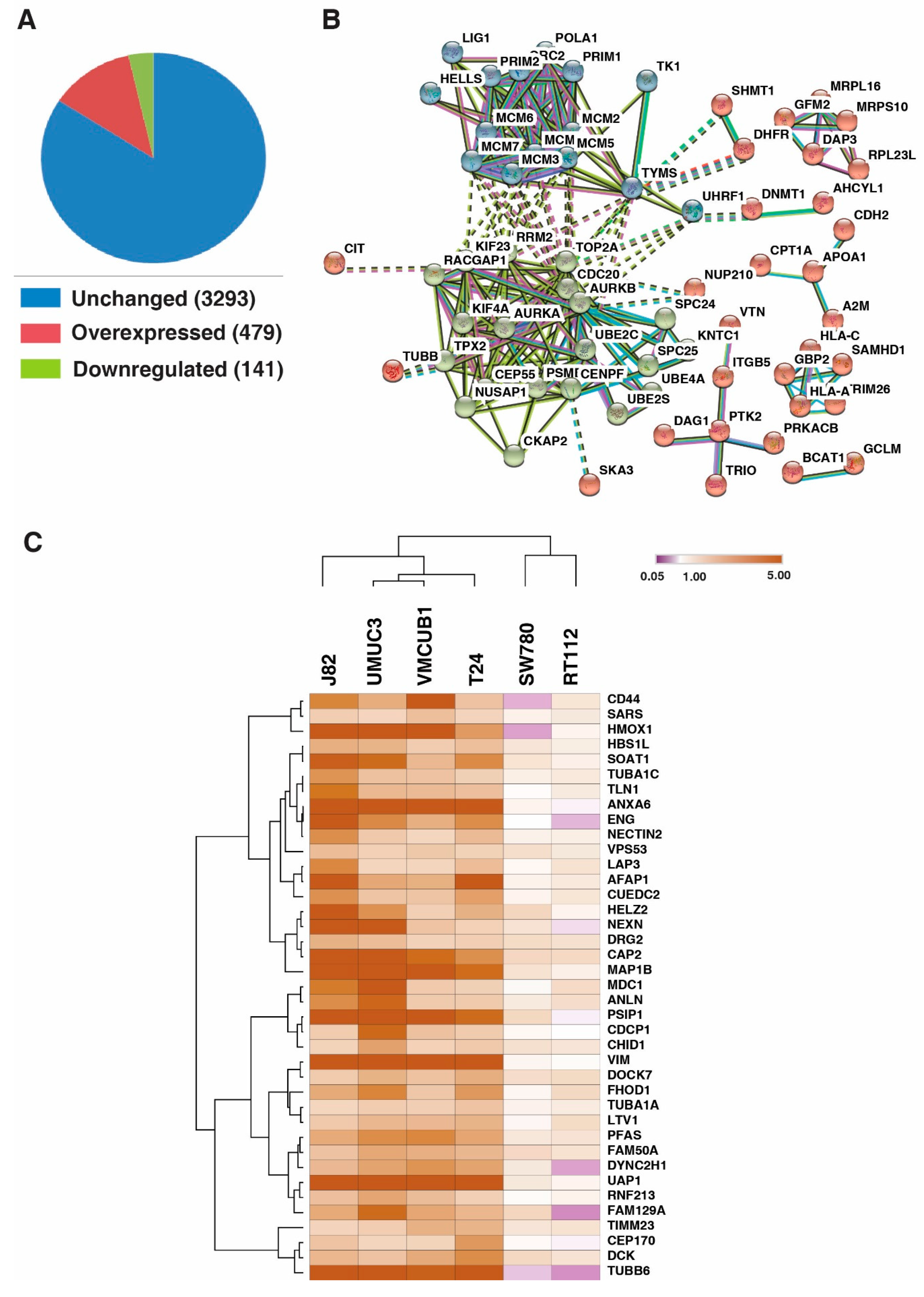 Genes 11 00763 g003