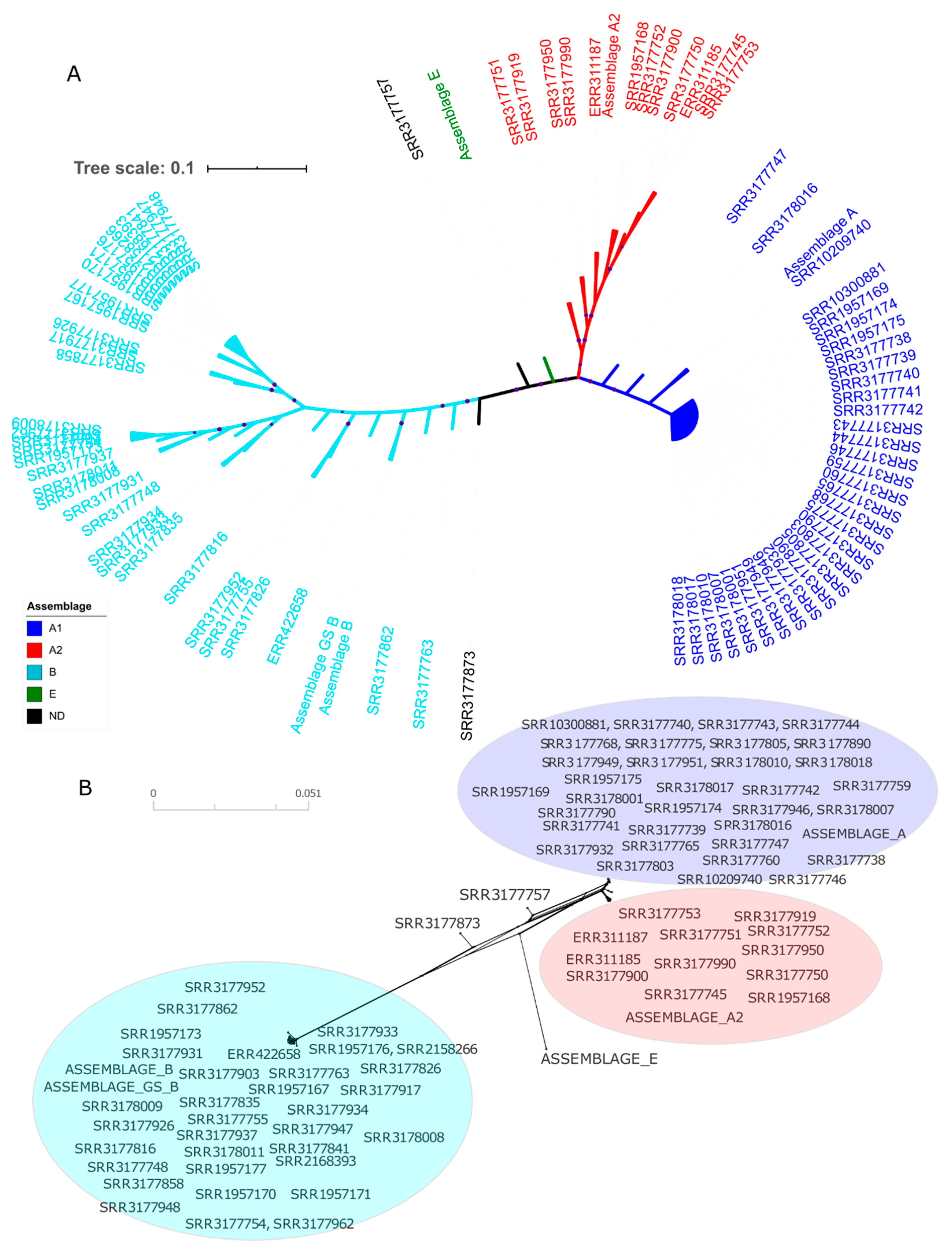 Genes 11 00764 g001 Genes 11 00764 g001