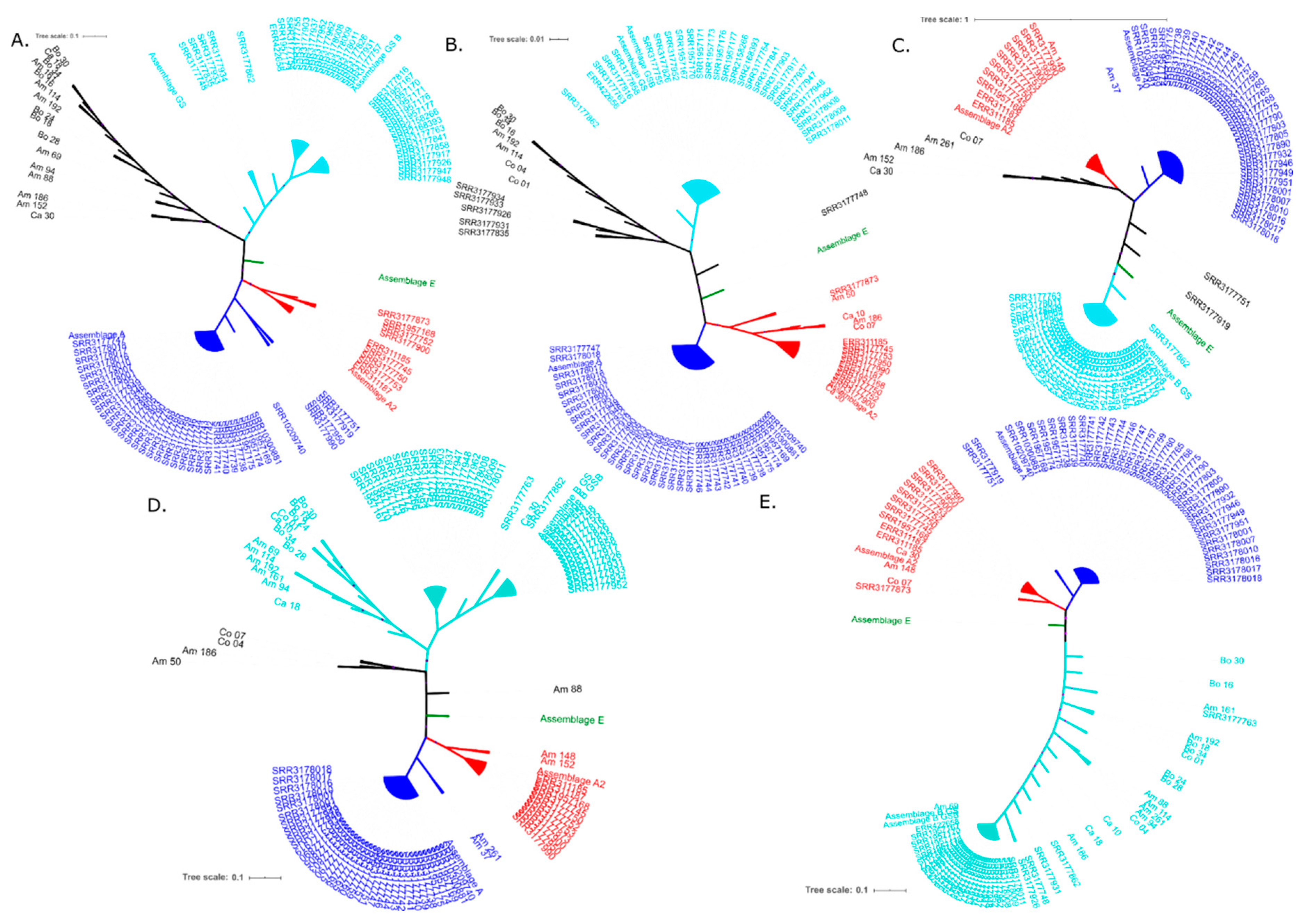 Genes 11 00764 g004 Genes 11 00764 g004
