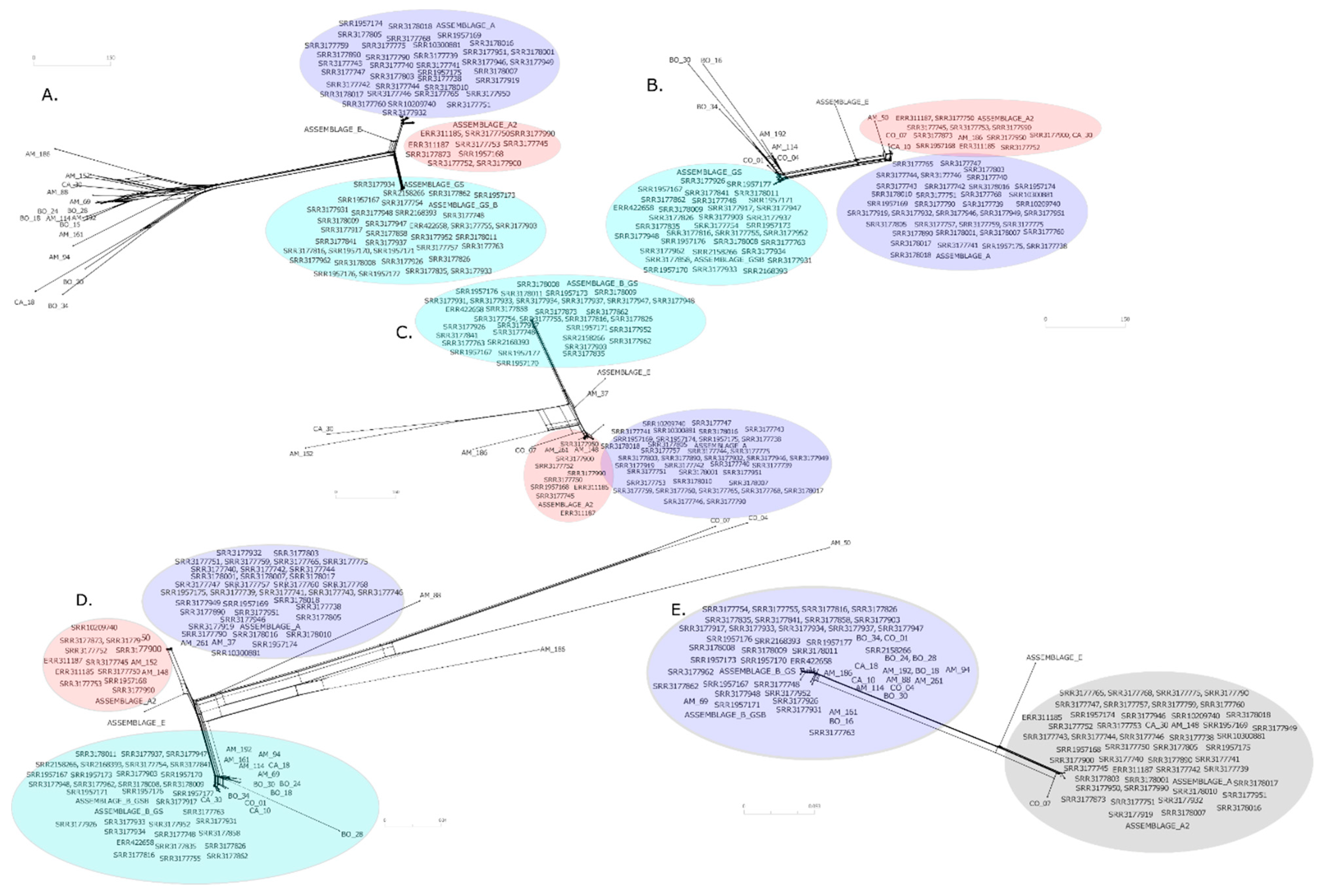 Genes 11 00764 g005 Genes 11 00764 g005