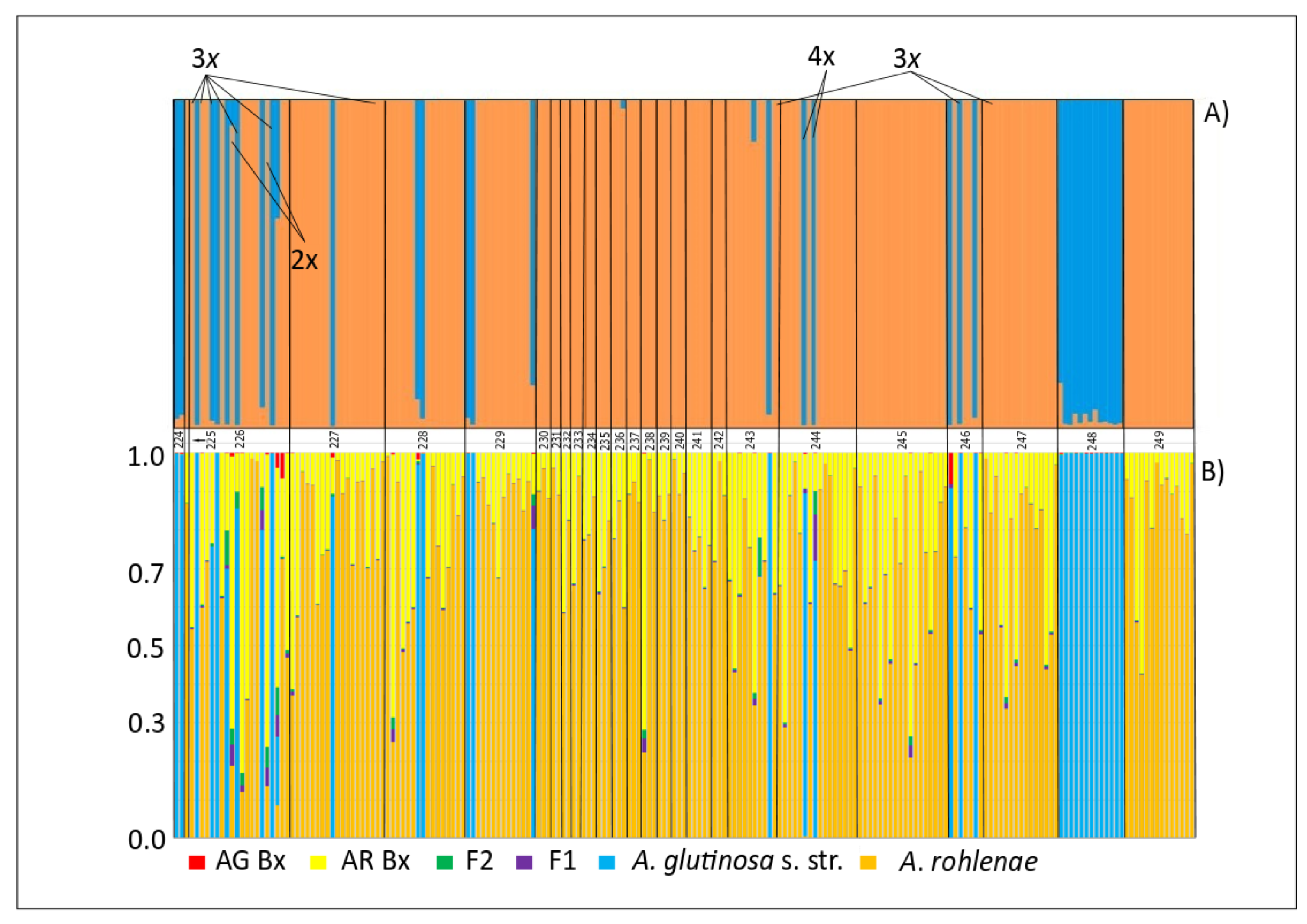 Genes 11 00770 g004
