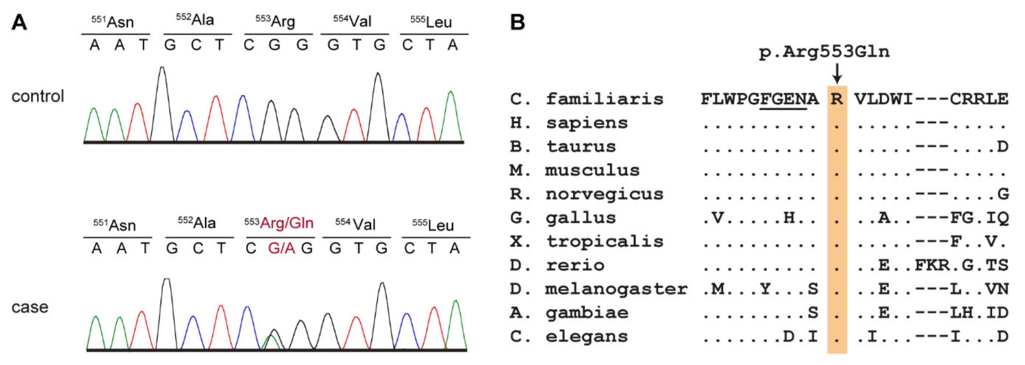 Genes 11 00774 g004 Genes 11 00774 g004