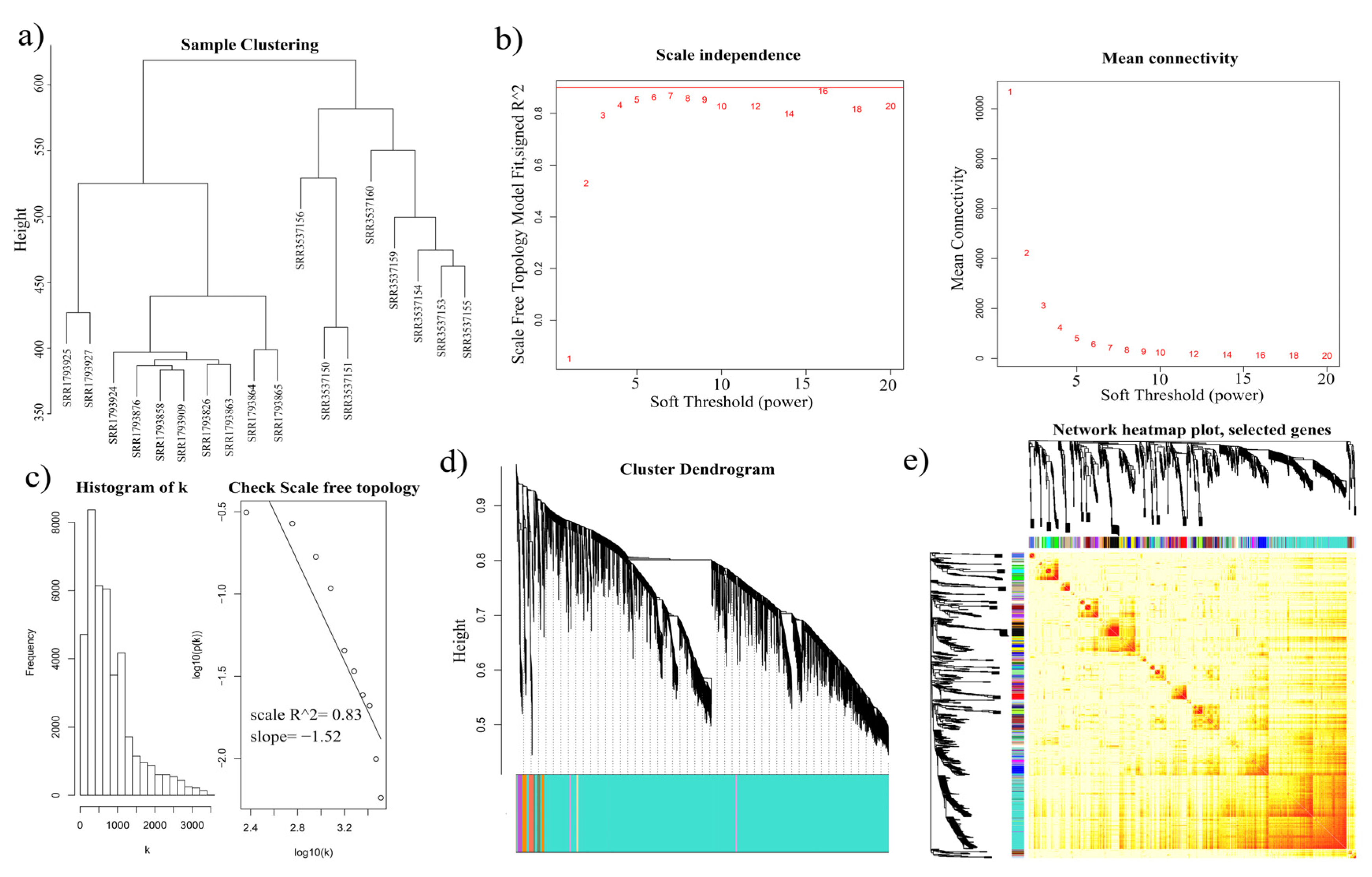 Genes 11 00784 g002