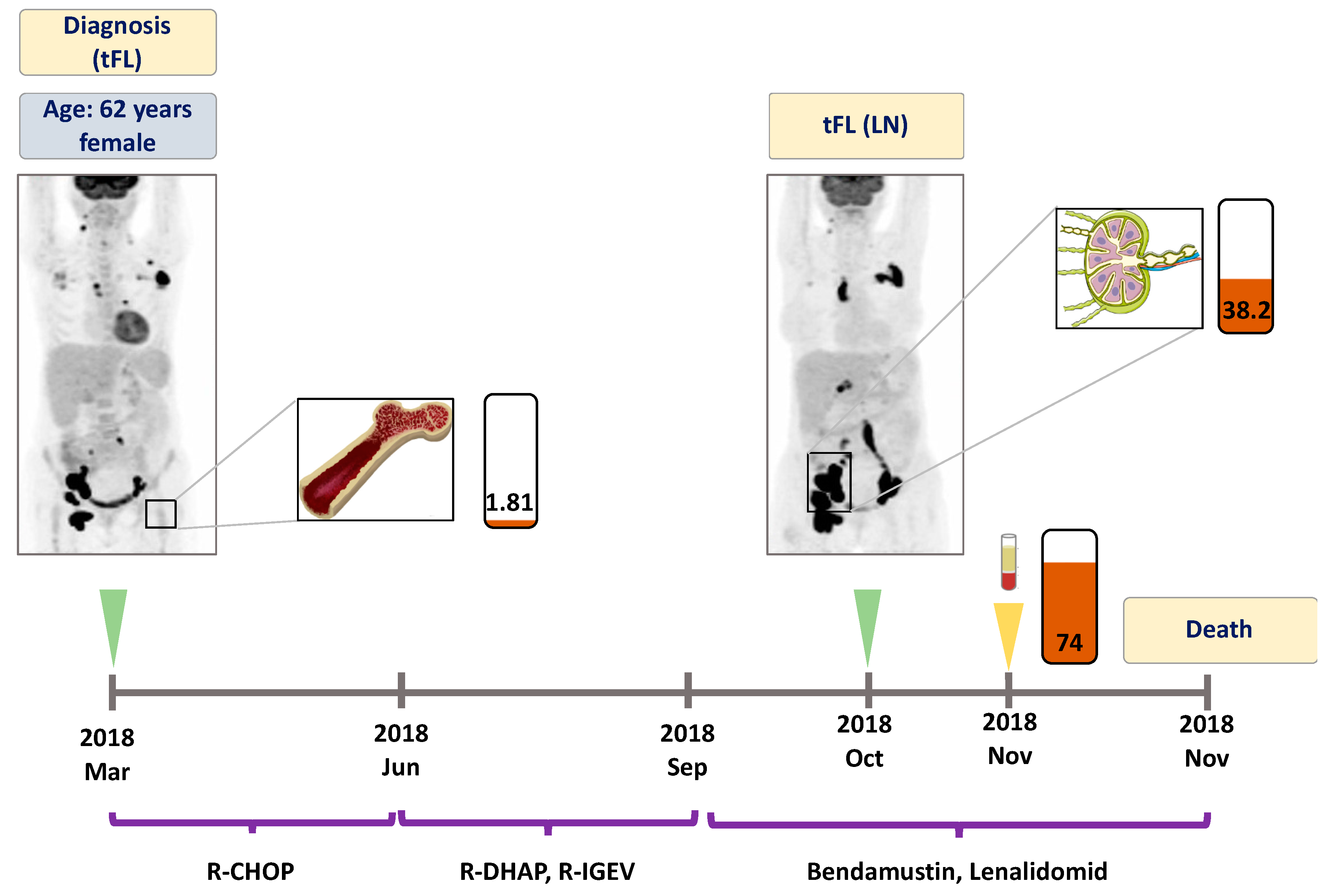Genes 11 00785 g003 Genes 11 00785 g003