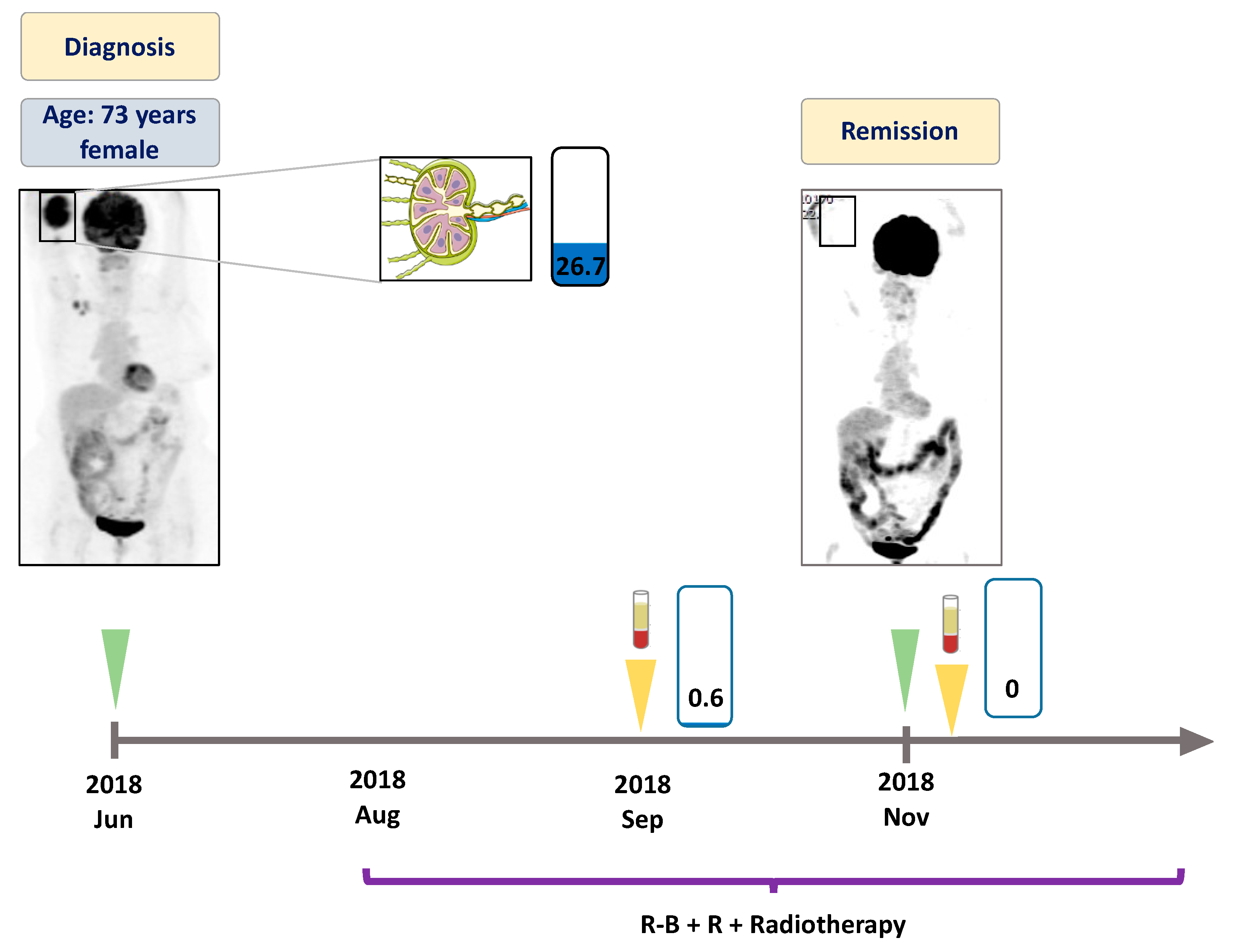 Genes 11 00785 g004 Genes 11 00785 g004