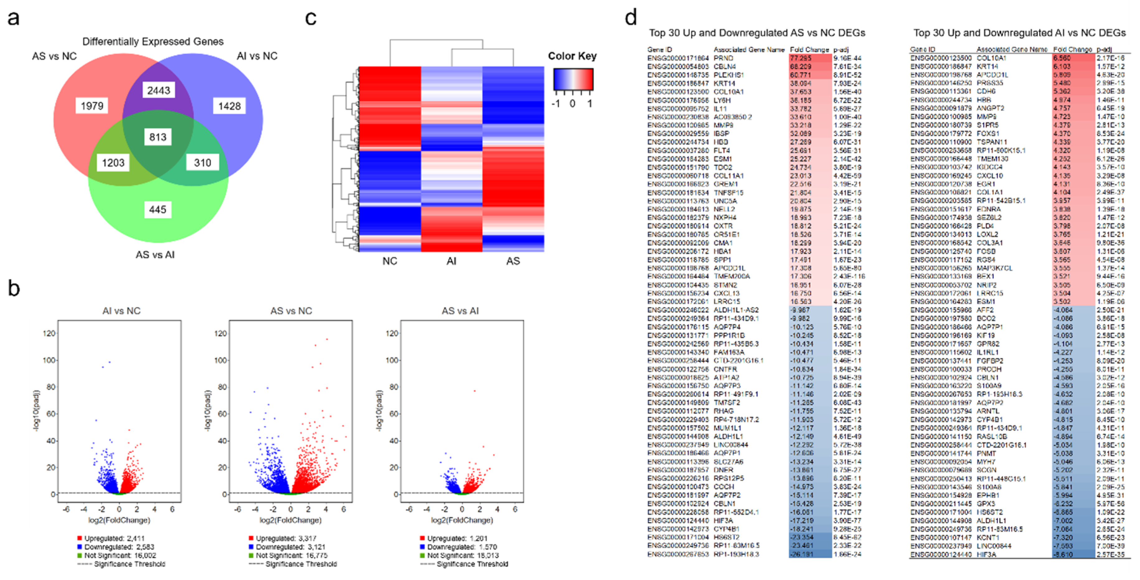 Genes 11 00789 g001 Genes 11 00789 g001